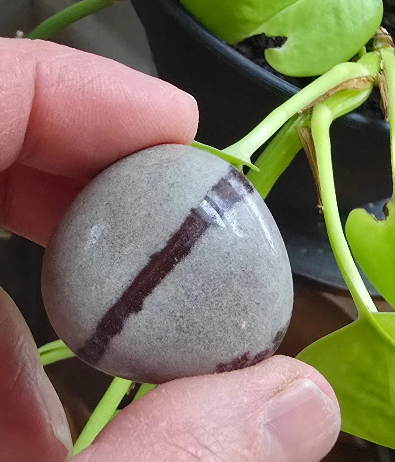River Shiva Genuine Stone Tumble River Shiva Genuine S