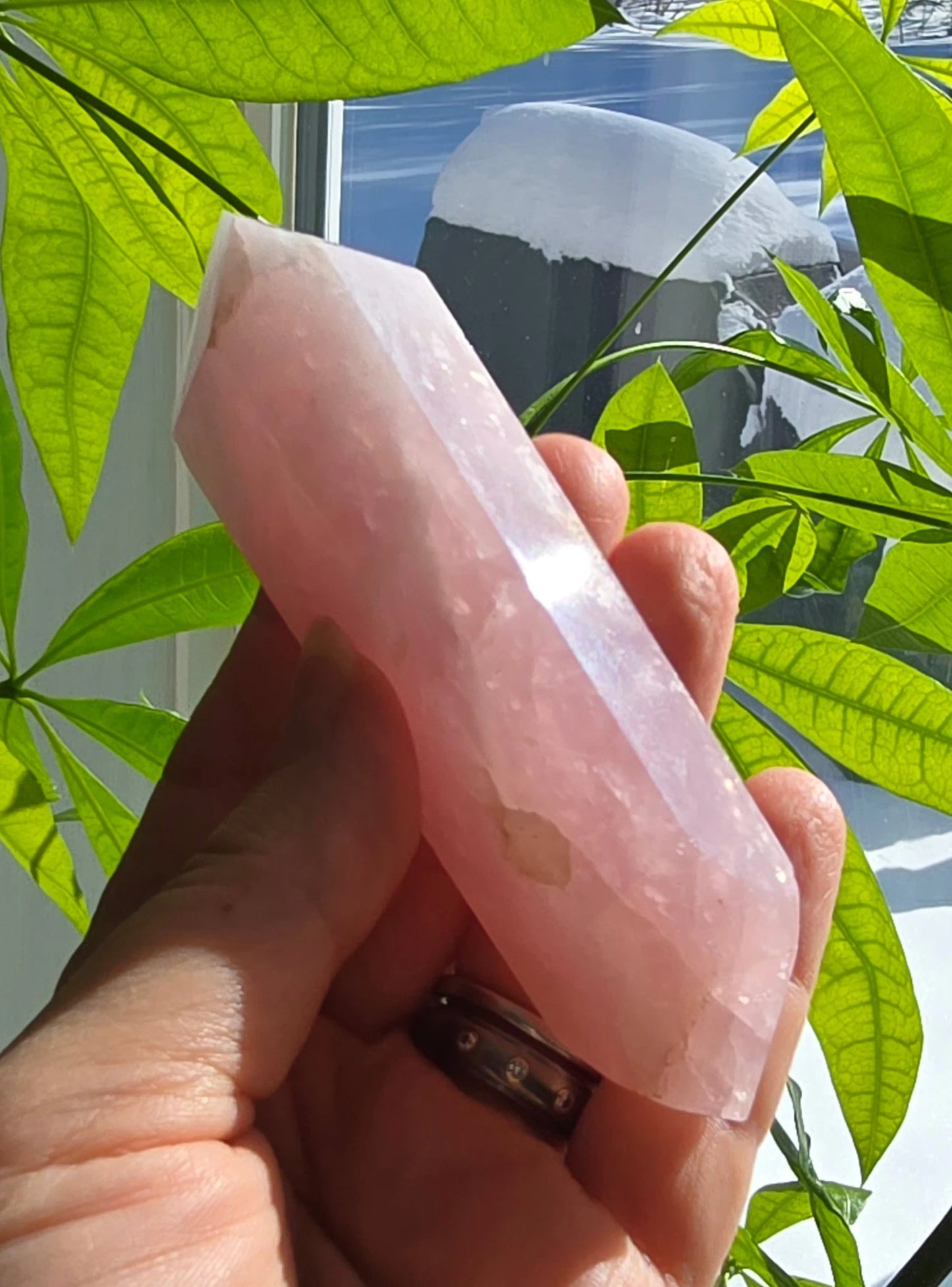 Rose Quartz DT specimen