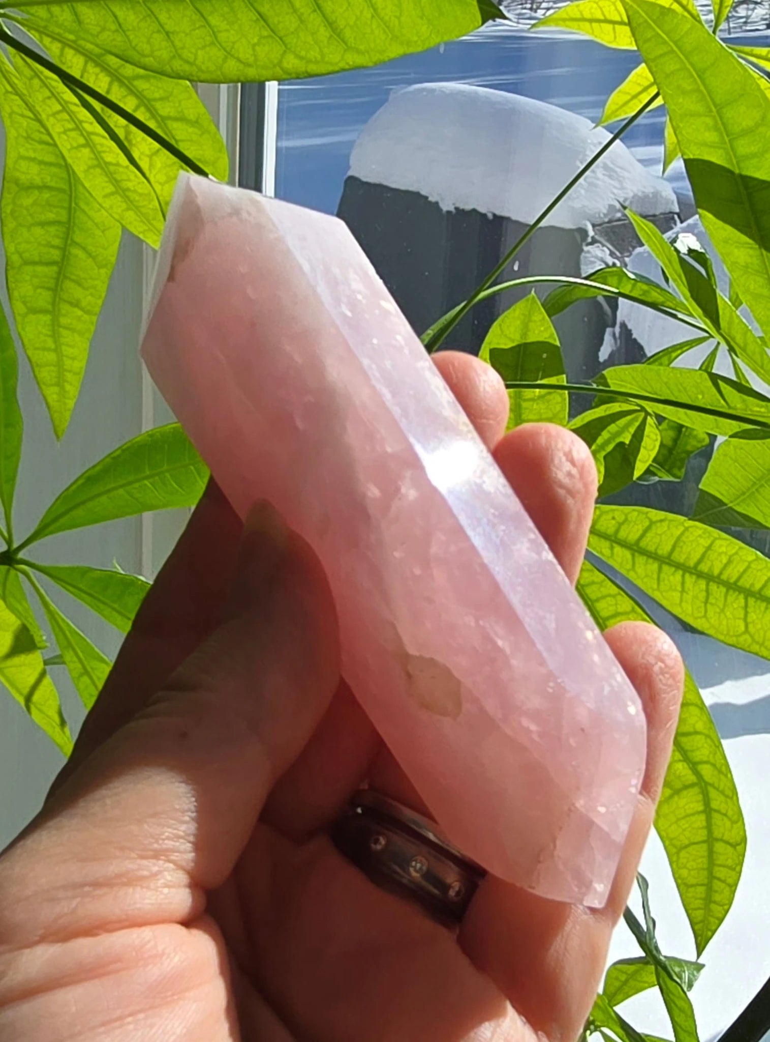 Rose Quartz DT specimen