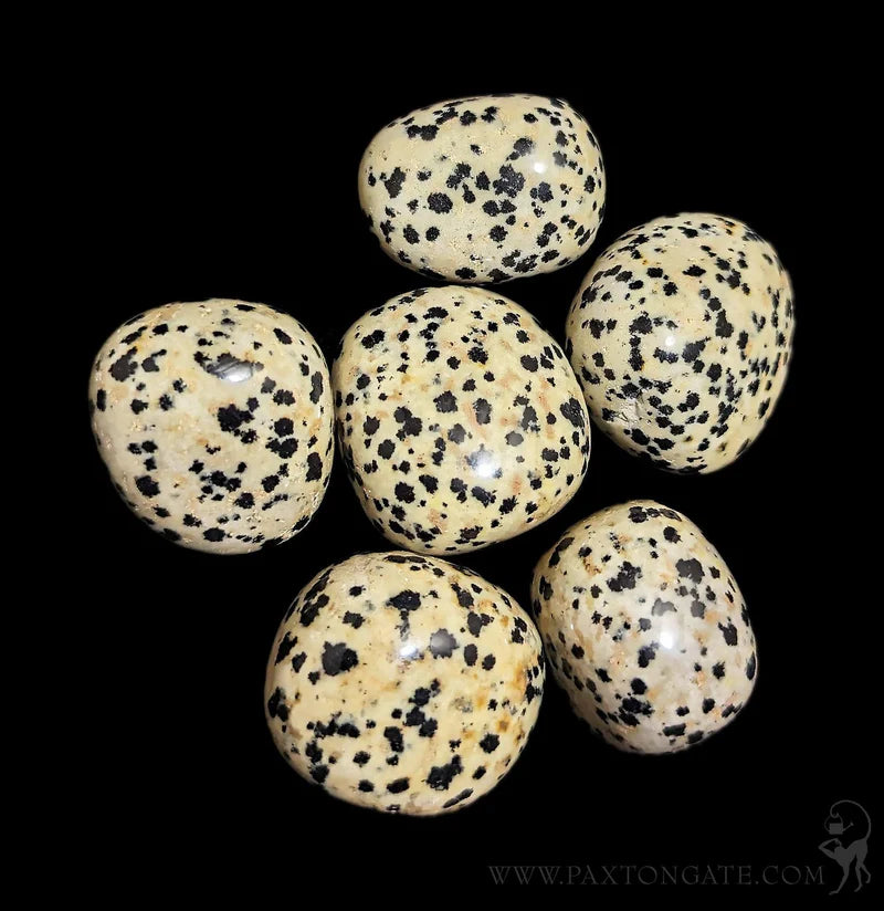 Dalmatian Jasper Tumble Stone – Natural Polished Stone