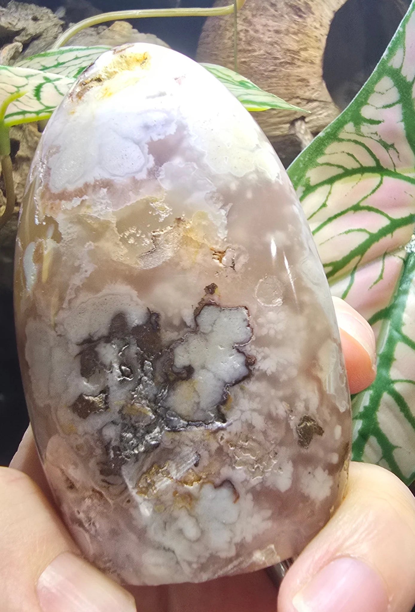 Flower Agate Free Form