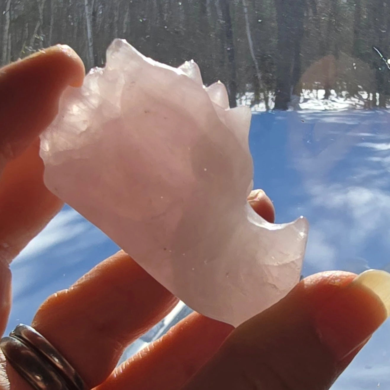 Rose Quartz Dragon skull carving