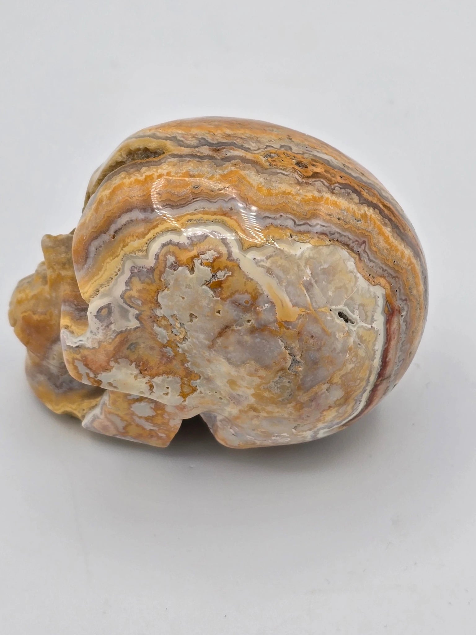 Crazy Lace Agate Skull Agate carving - Genuine Natur