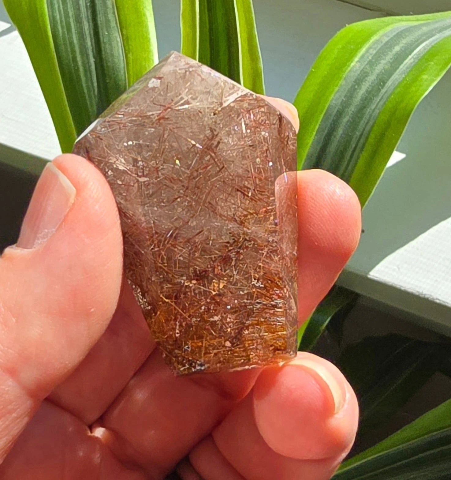 Clear Quartz specimen