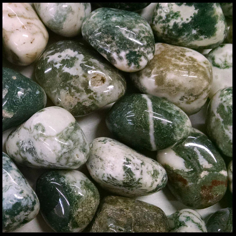 Assorted Tree Agate Tumbles display