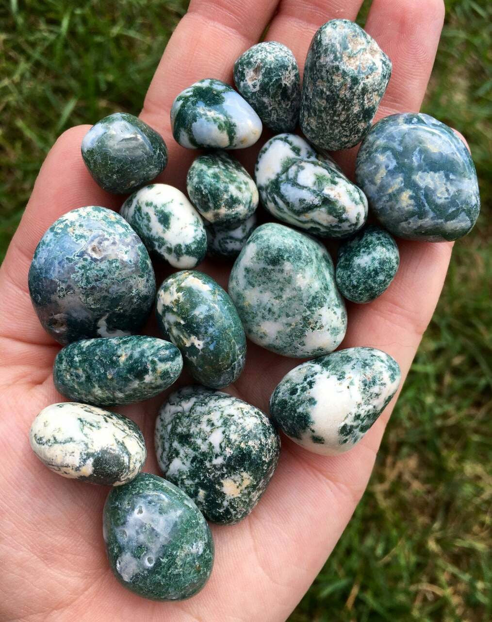 Tree Agate Tumbles in hand