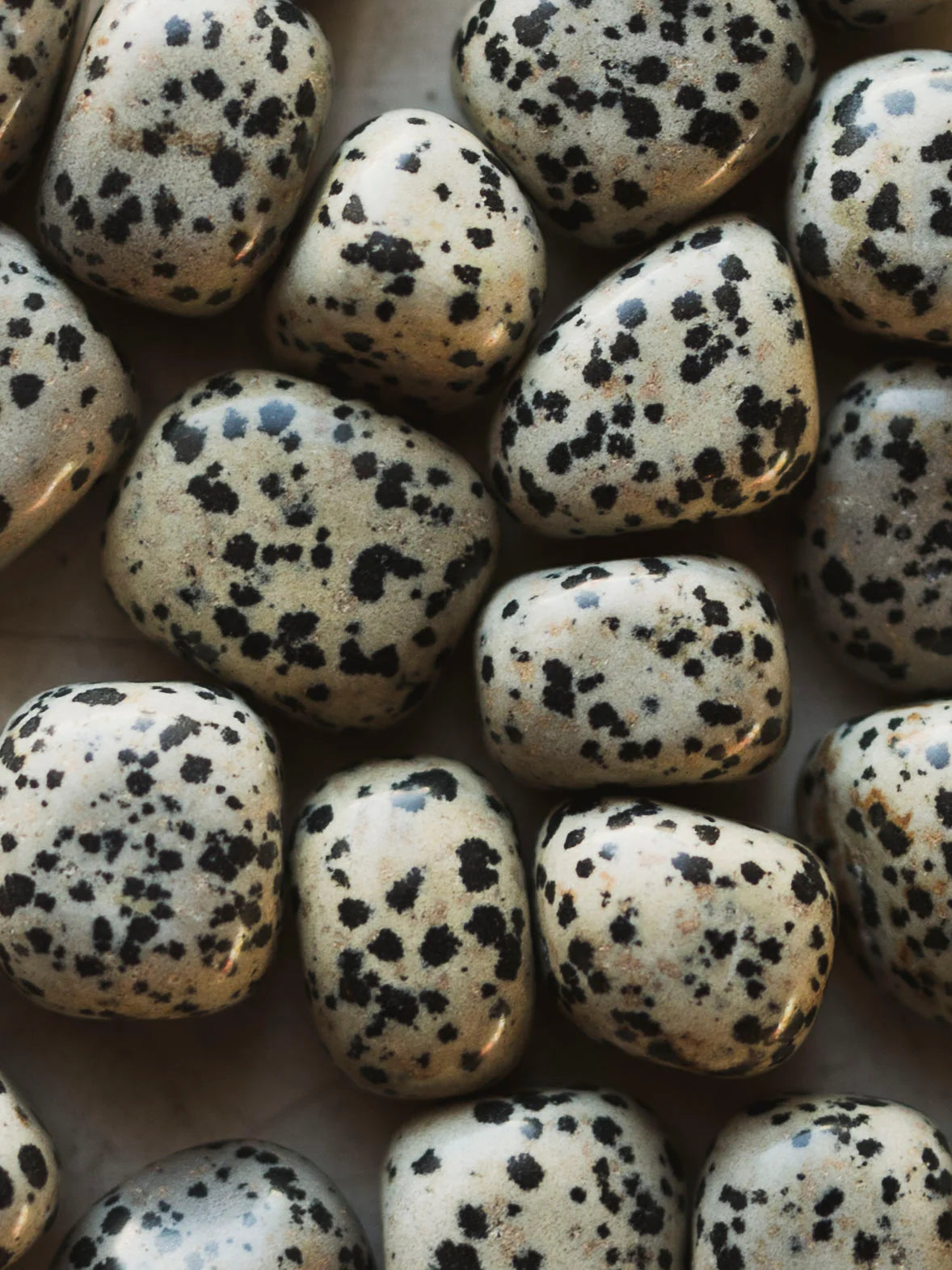 Dalmatian Jasper Tumble Stone – Natural Polished Stone