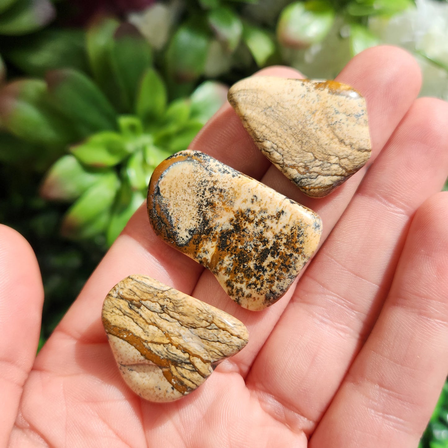 Picture Jasper Tumble – Natural Polished Stone