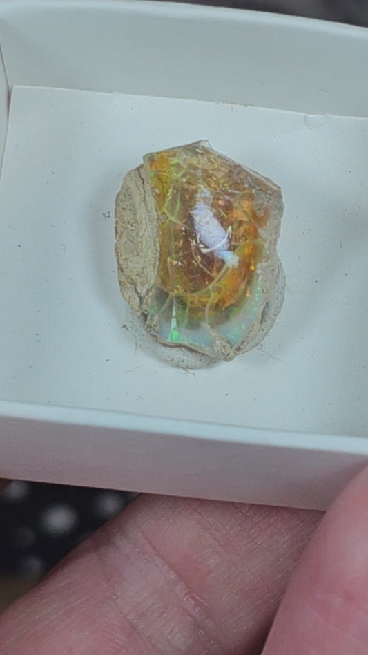 Ethiopian Opal 0014