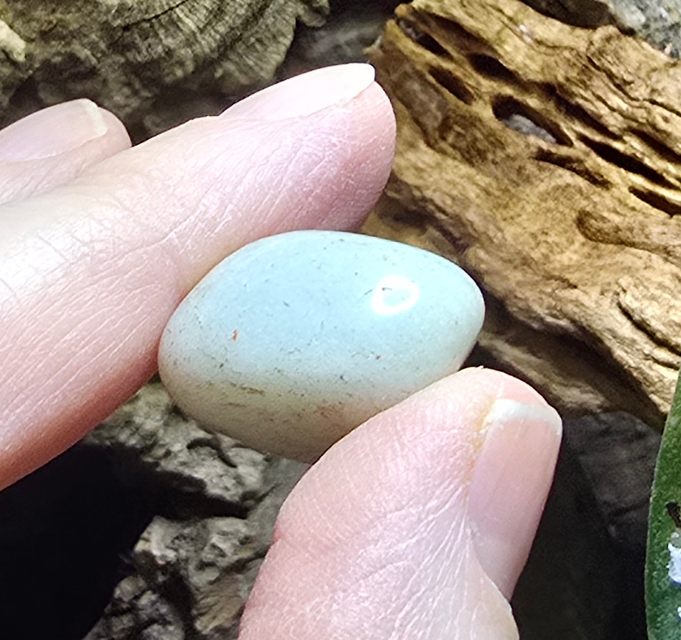 Aventurine tumble stone