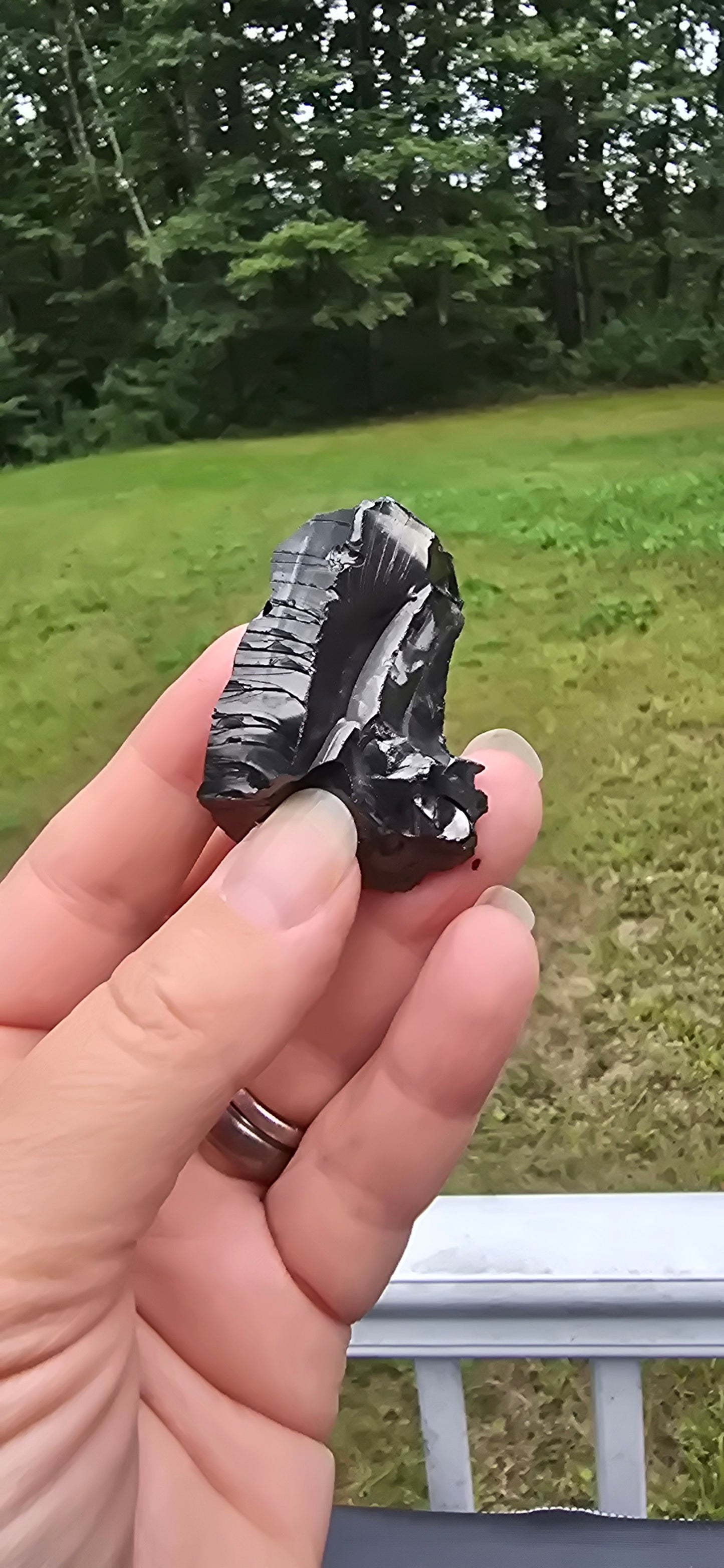 Elite Shungite