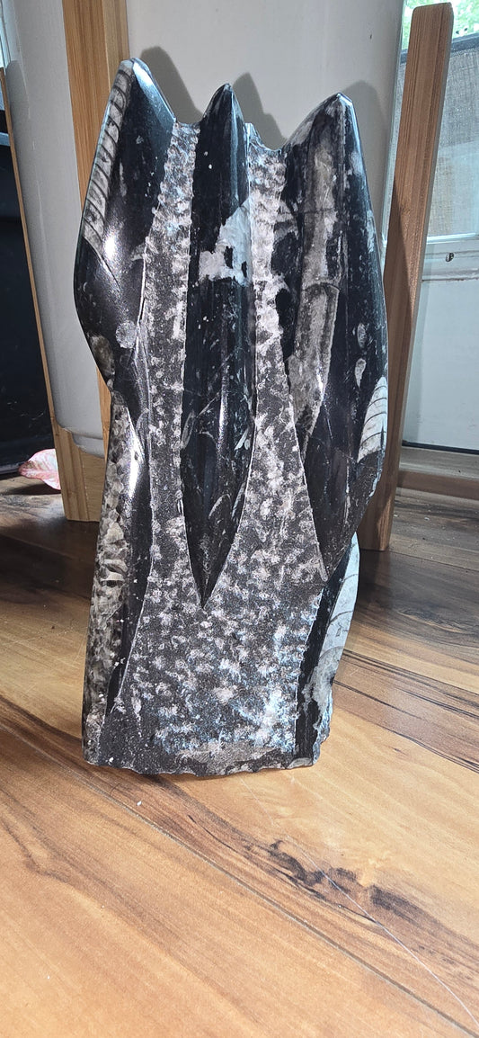 Orthoceras Tower Display