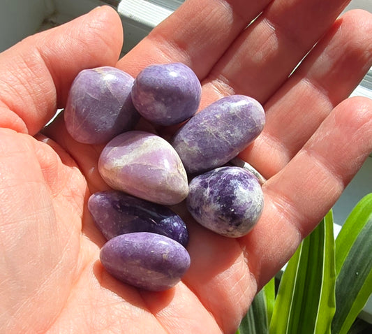 Lepidolite Tumble Stone – Natural Polished Stone