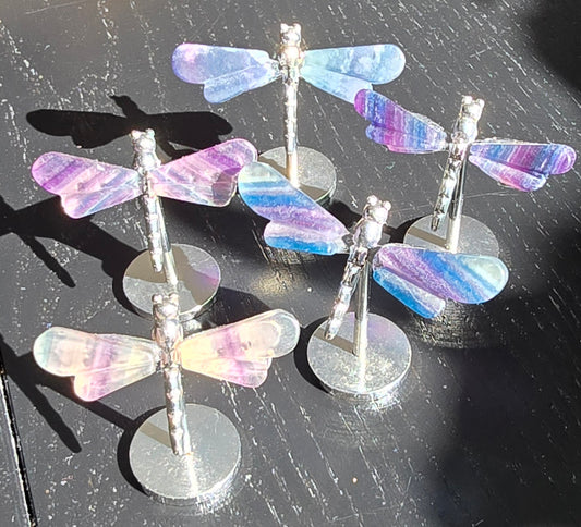 Rainbow fluorite dragonfly wings on metal stand with purple green and blue banding polished stone display