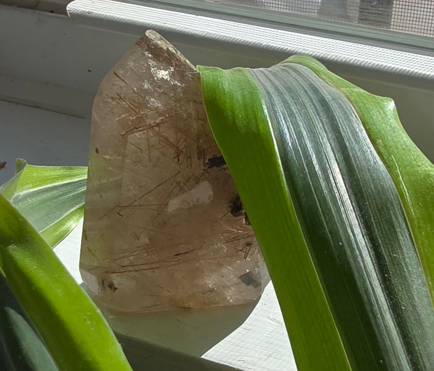 Gold Rutilated Quartz Tower – Polished Natural Quartz
