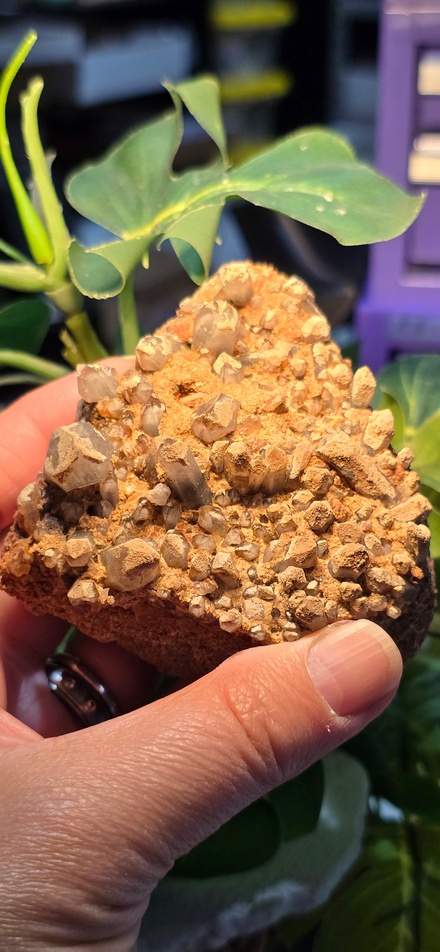 Orange River White Phantom Quartz – Orange River, South Africa Natural Mineral Specimen
