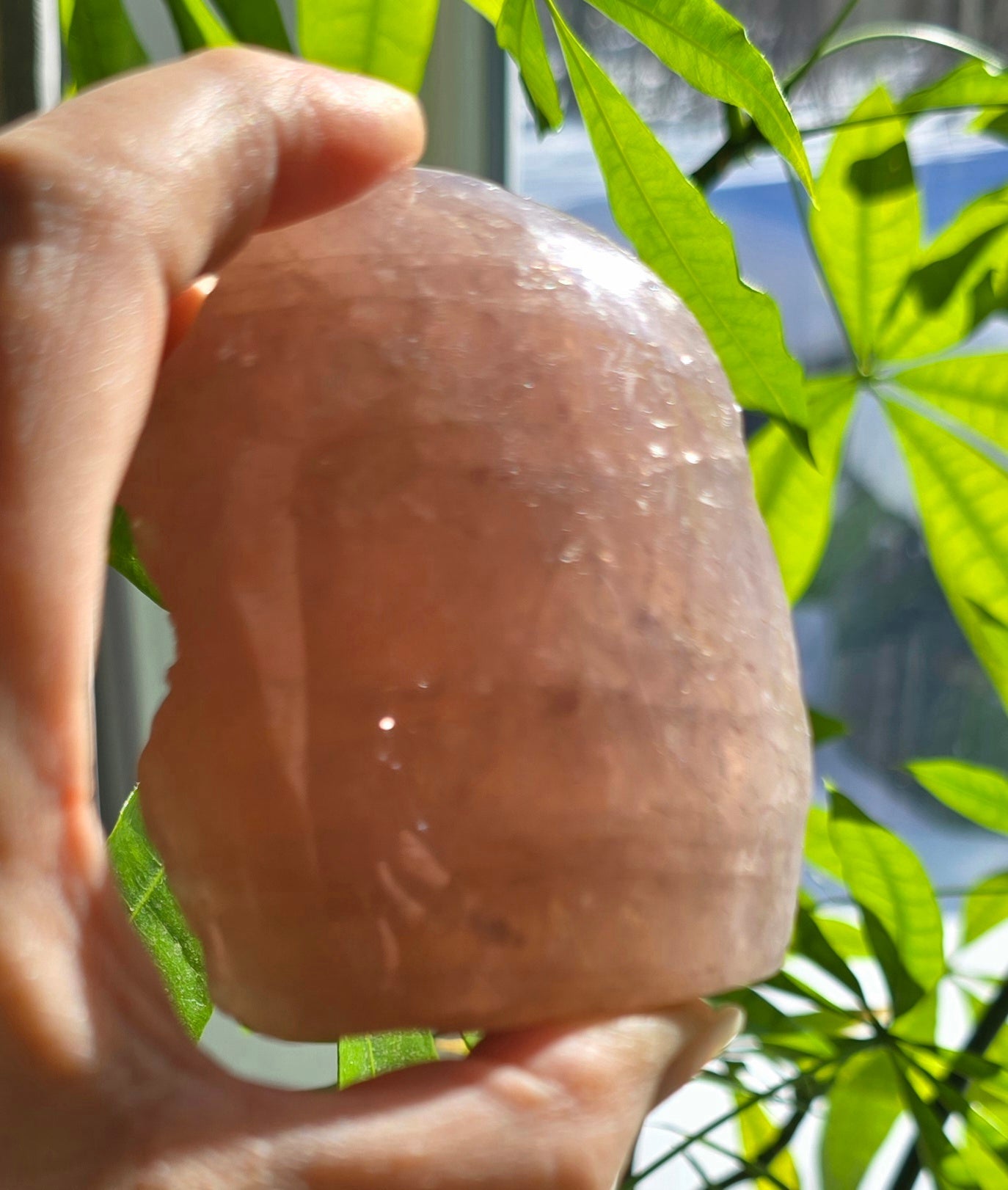 Rose Quartz Half Polished Cut Base – Natural Quartz
