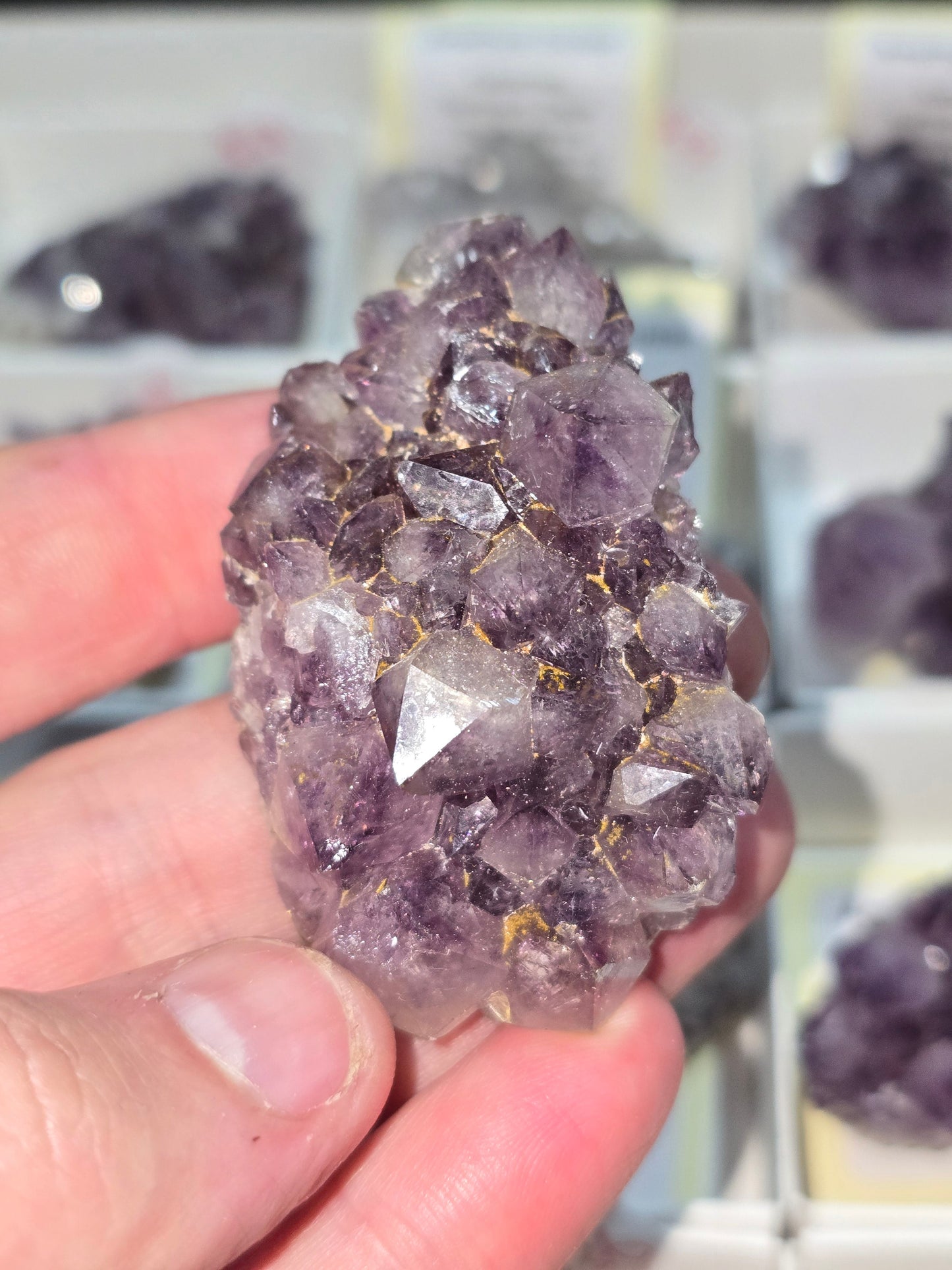 Amethyst Clusters from South Africa – Natural Mineral Specimen