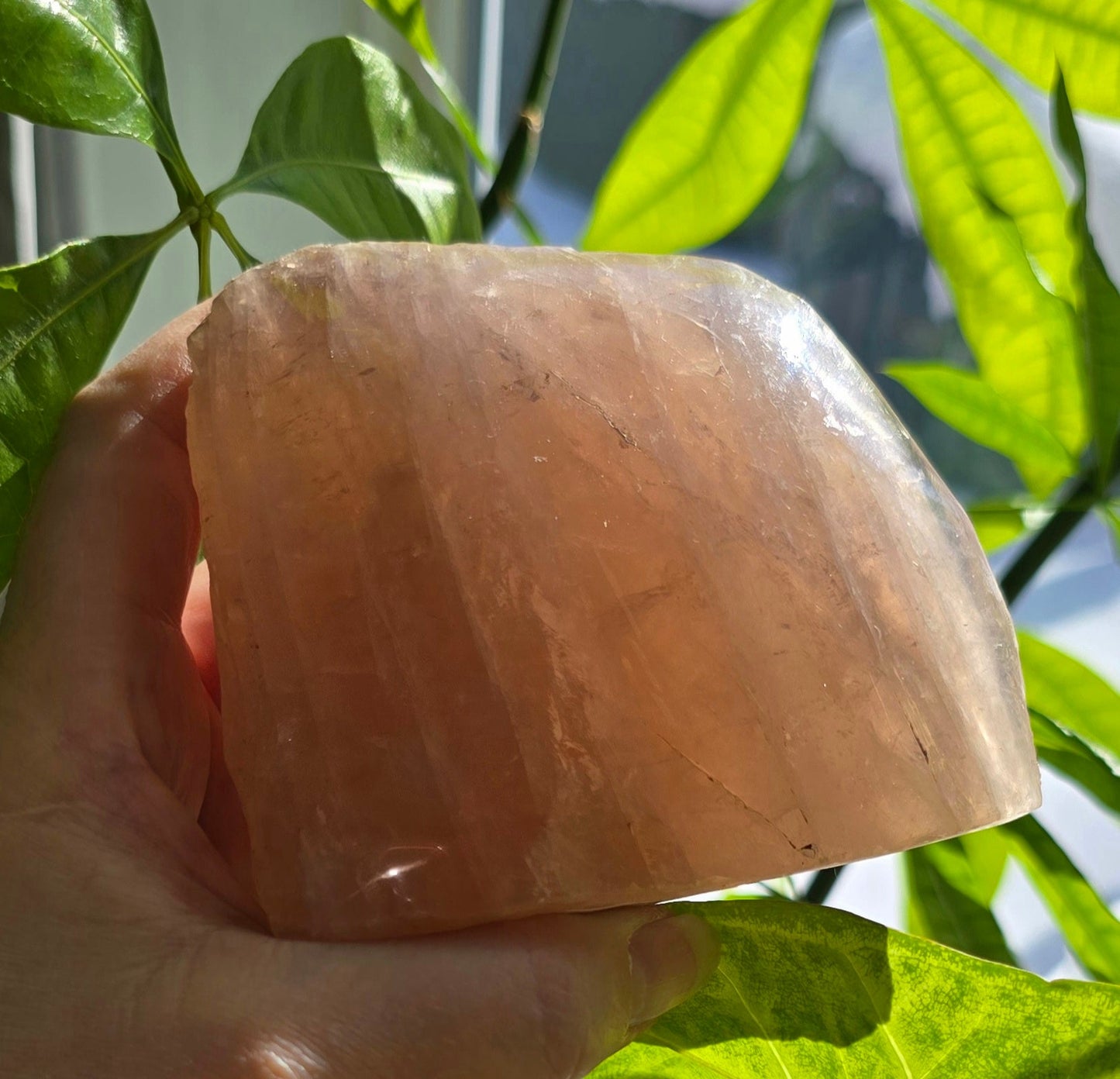 Rose Quartz Half Polished Cut Base – Natural Quartz