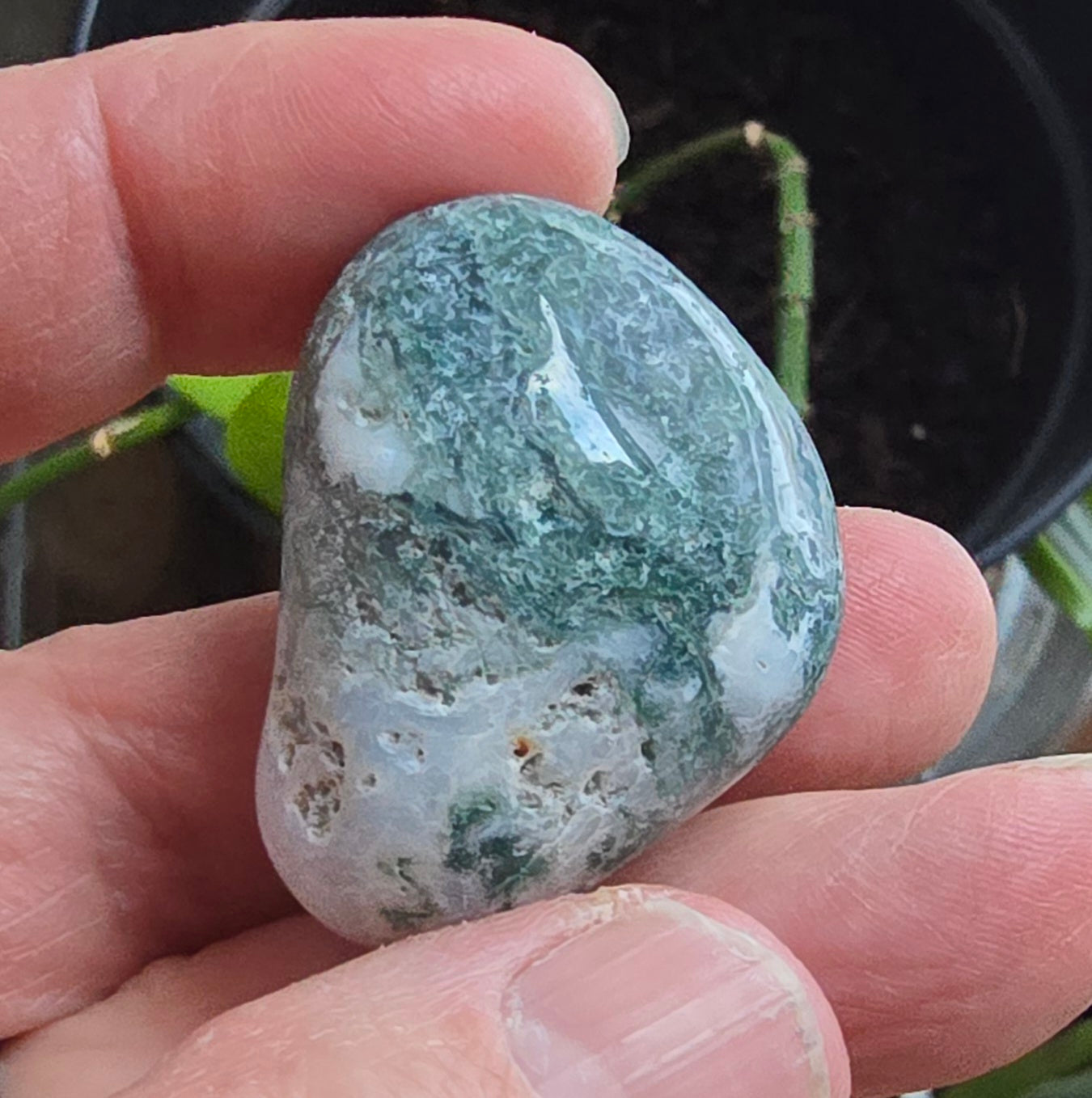 Single Tree Agate Tumble close-up