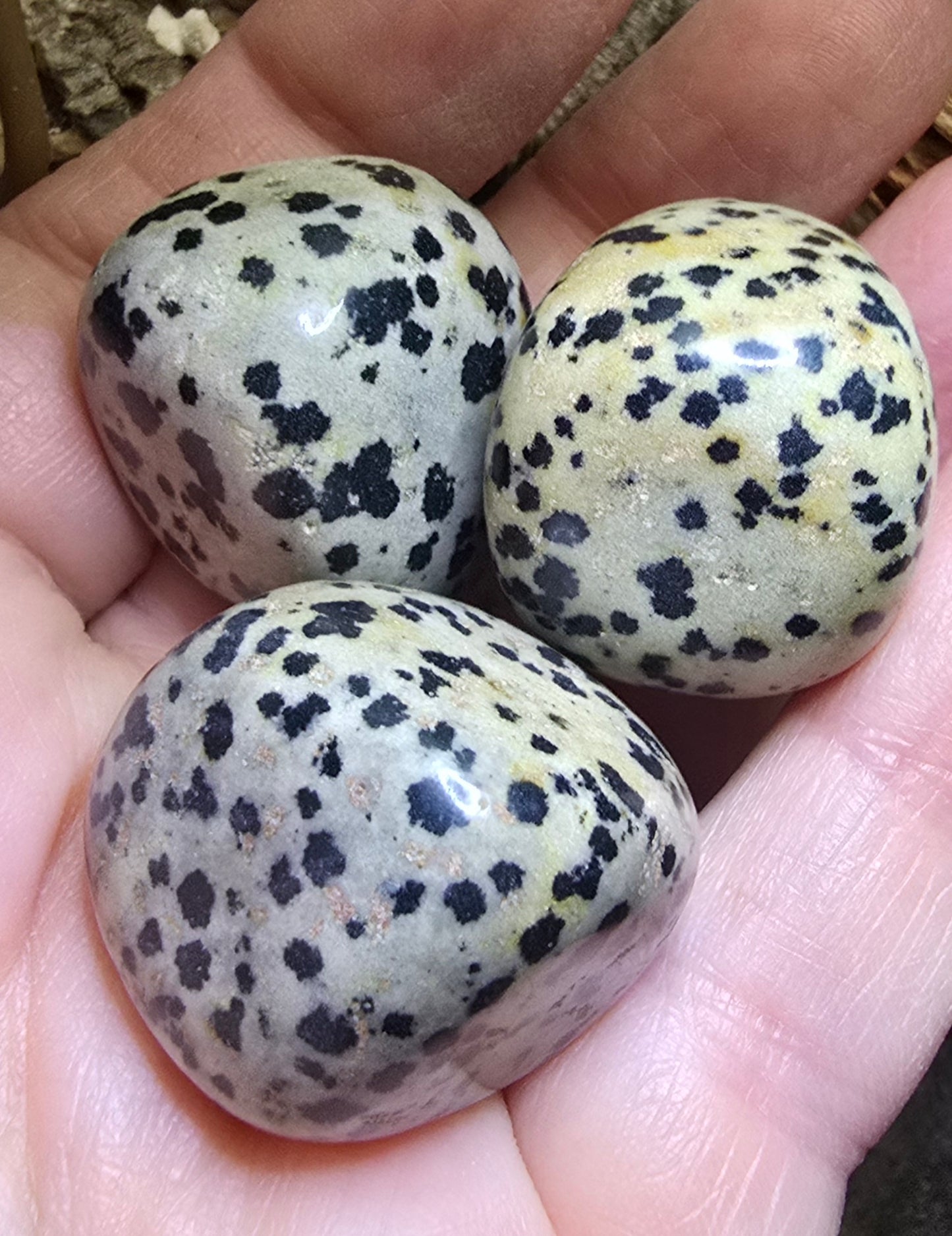 Dalmatian Jasper Tumble Stone – Natural Polished Stone