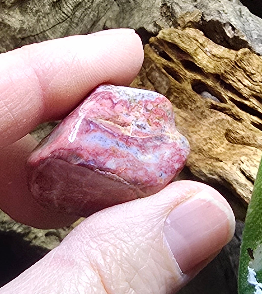 Red River Jasper Tumble – Natural Polished Stone