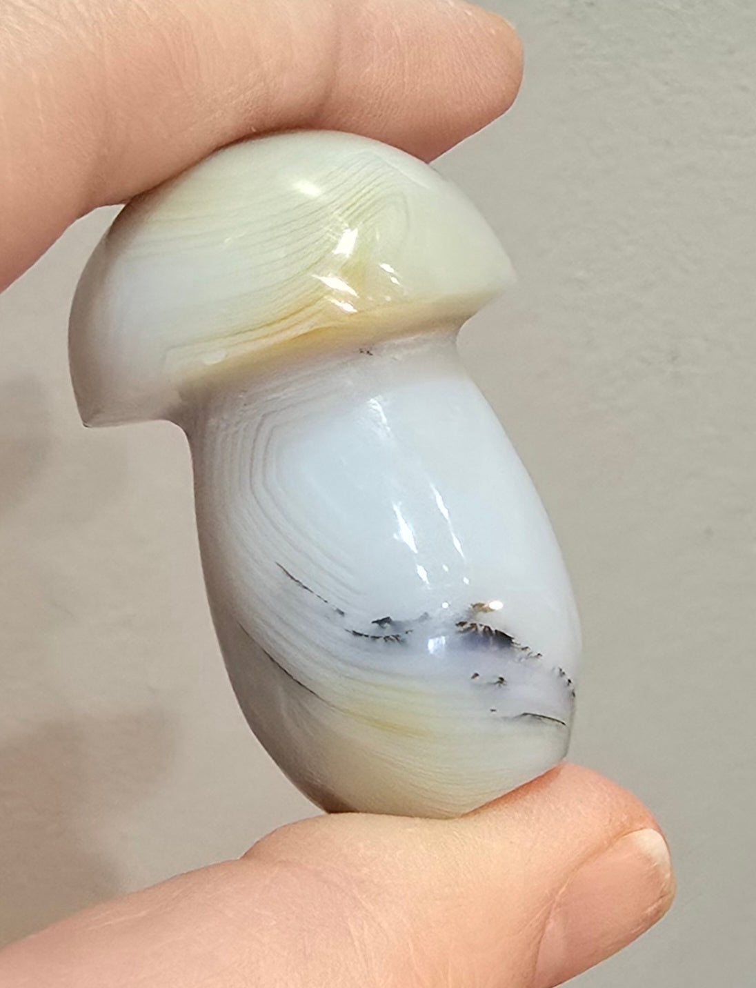Agate Mushroom Carvings – Polished Natural Agate