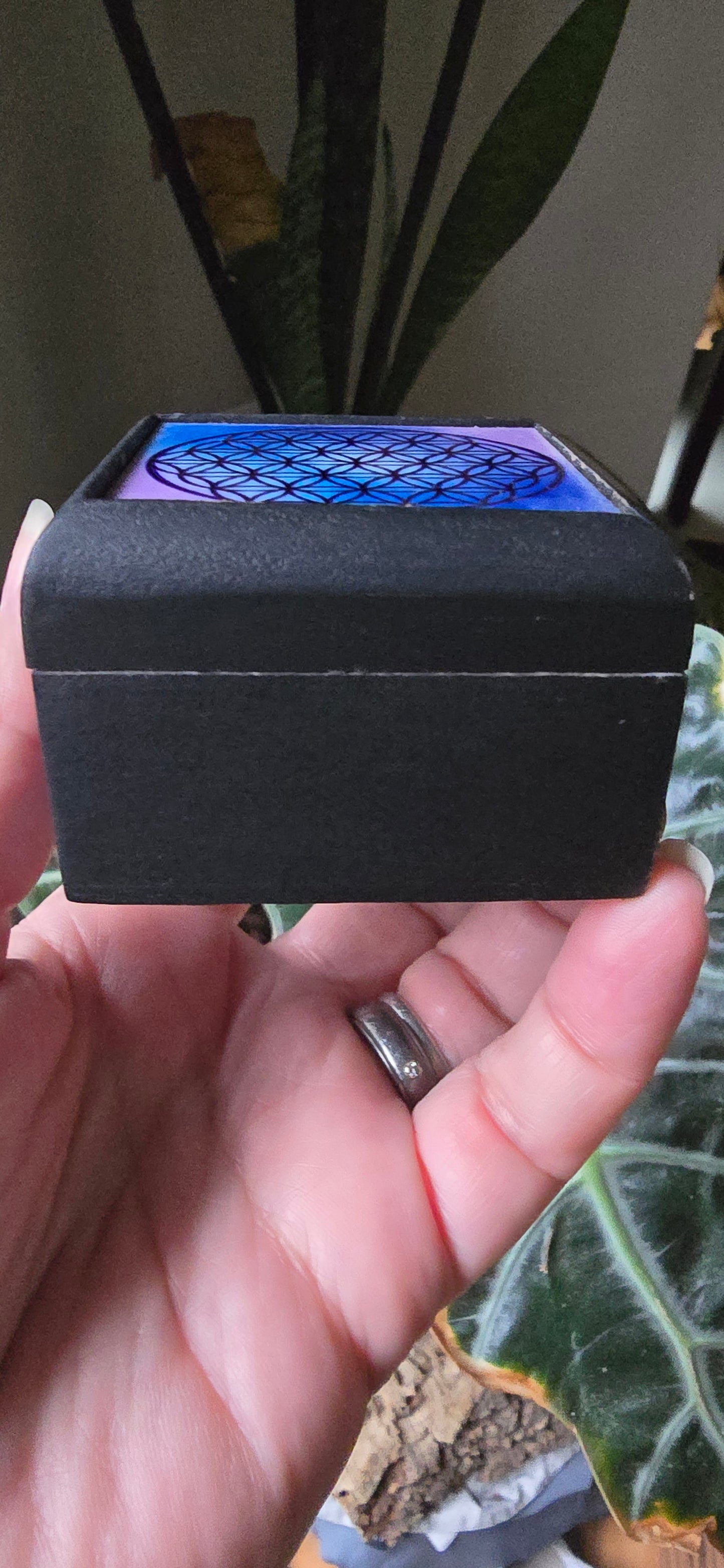 Flower of Life -Velvet lined wooden Trinket Box