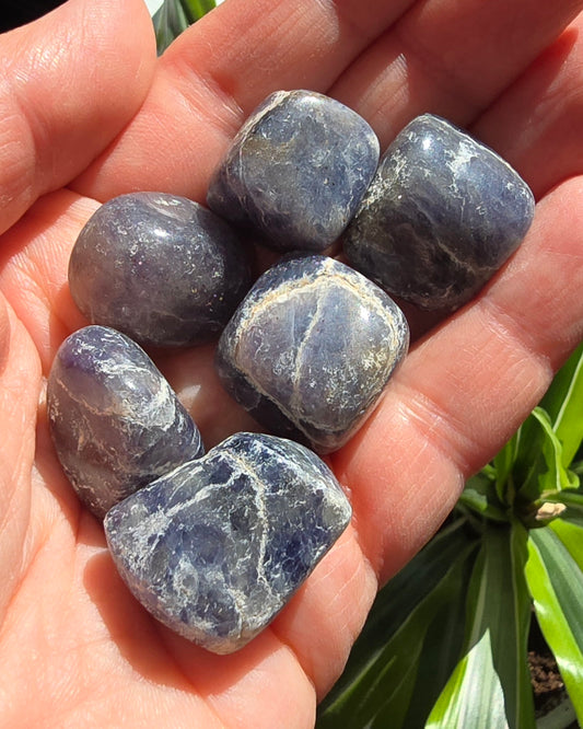 Iolite Tumble Stone – Natural Polished Stone