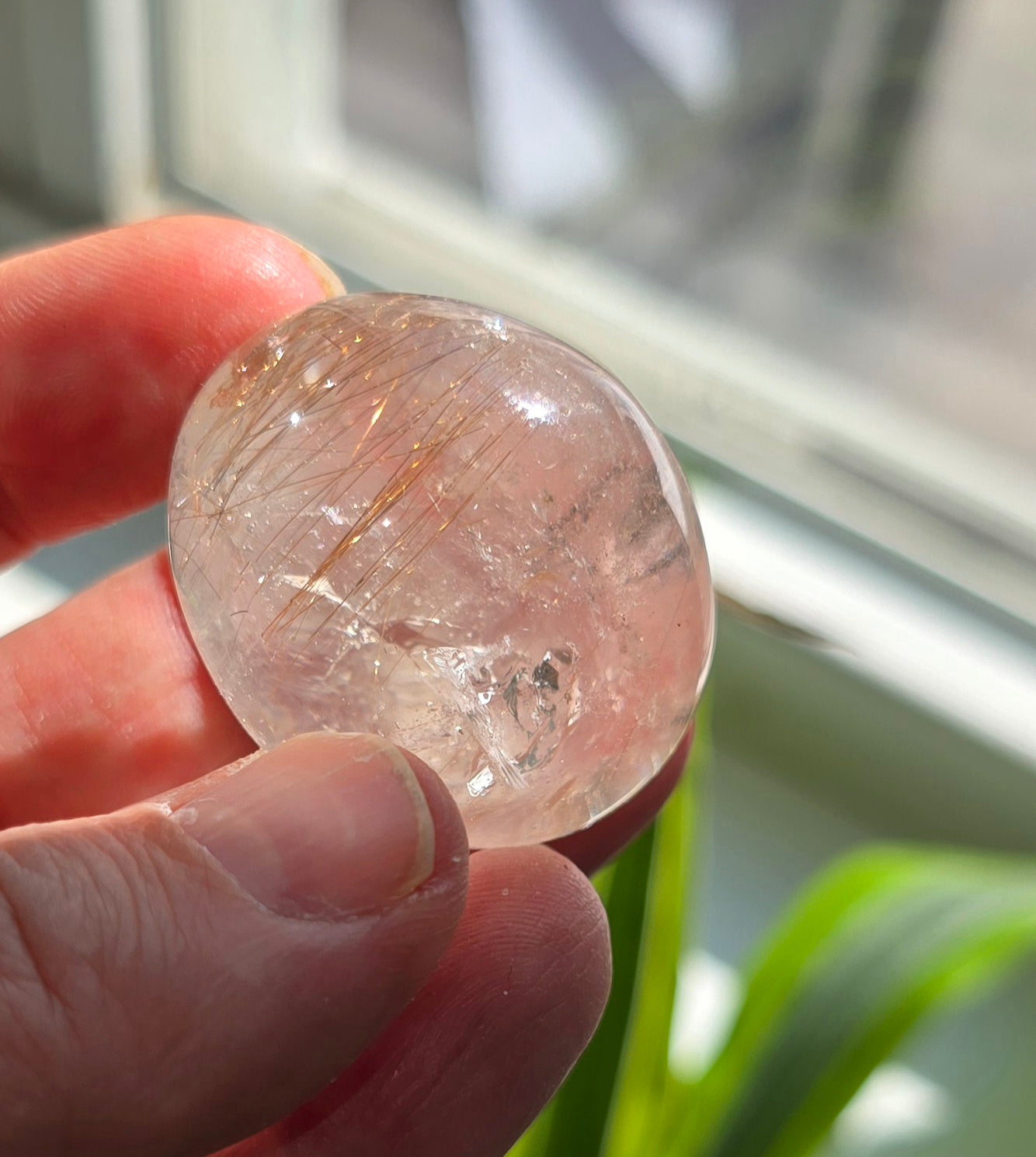 Polished Gold Rutilated Quartz Lens in hand
