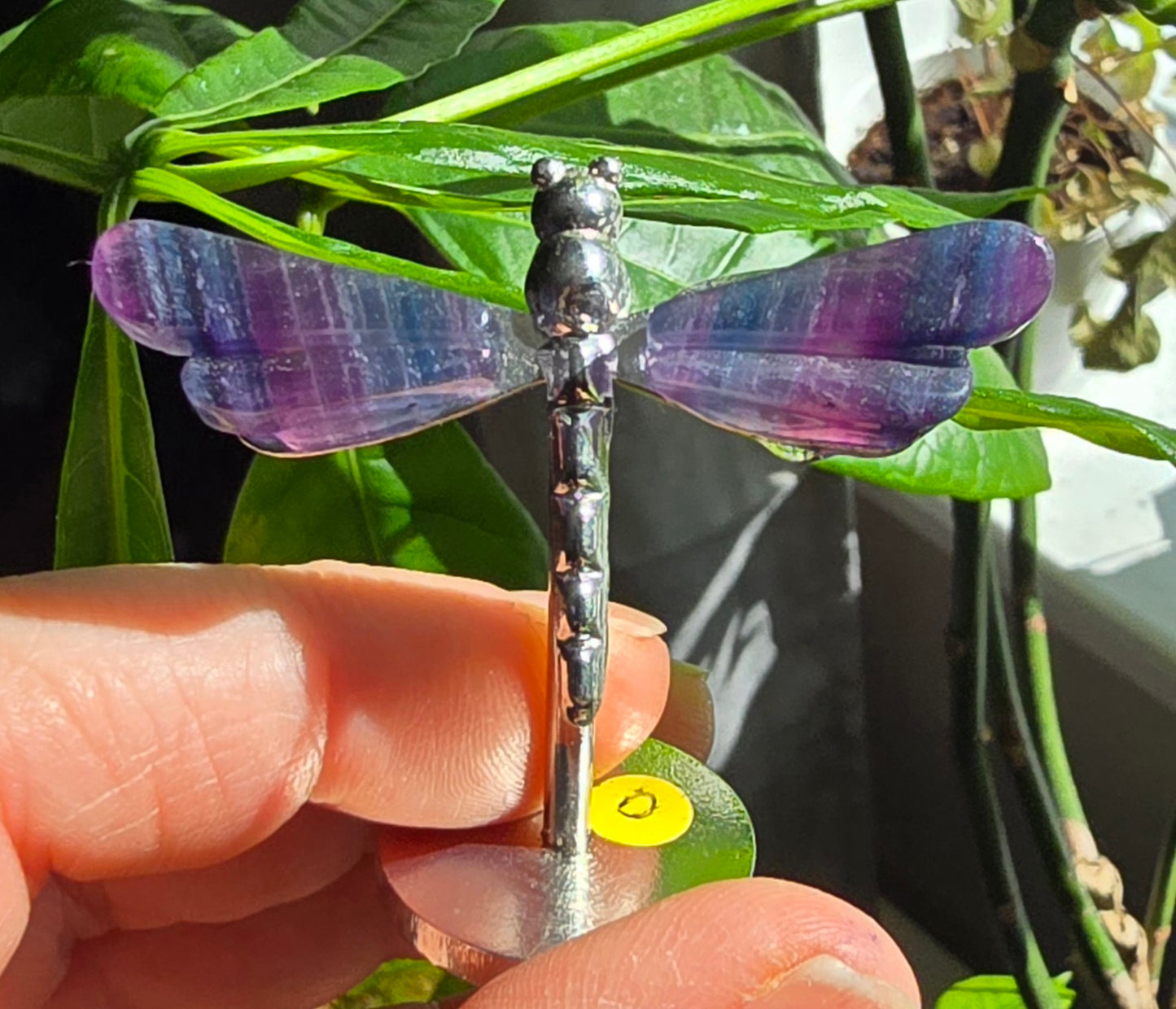 Rainbow Fluorite Dragonfly Wings on Metal Stand specimen - Genuine Nat