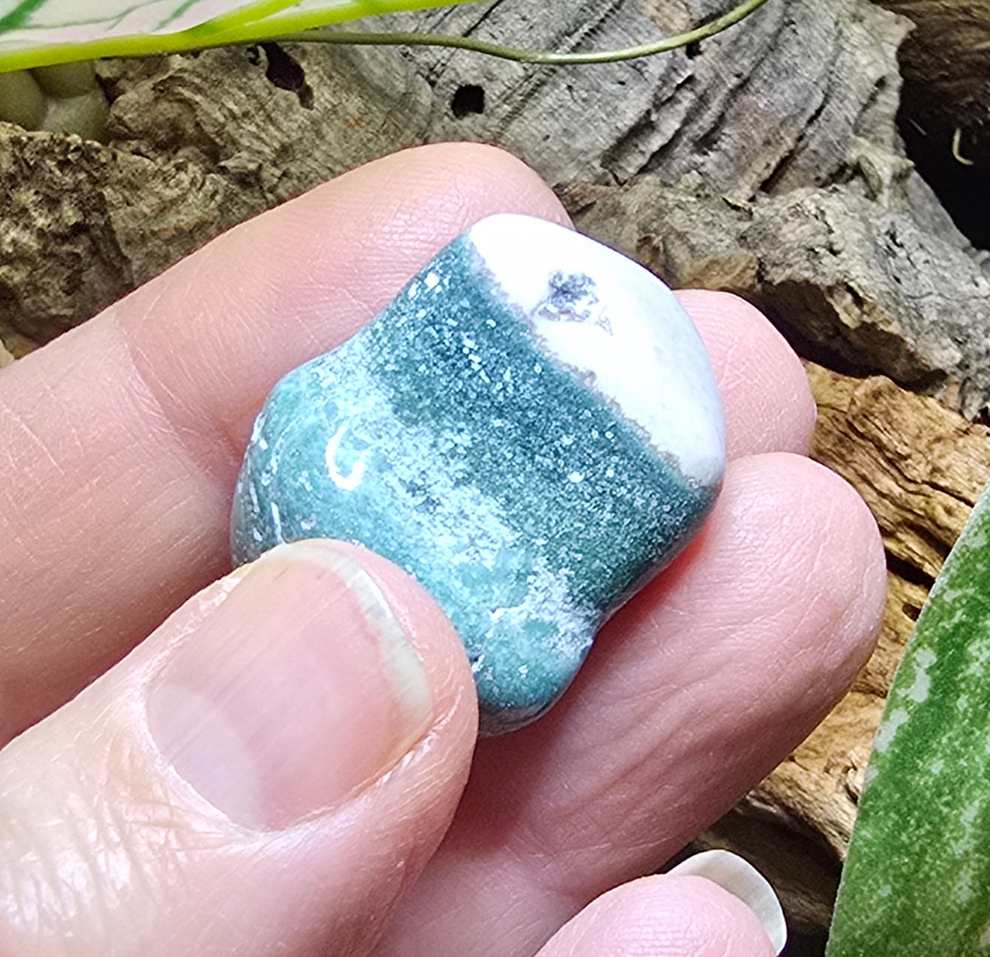 Green Sardonyx Tumbles – Natural Polished Stone
