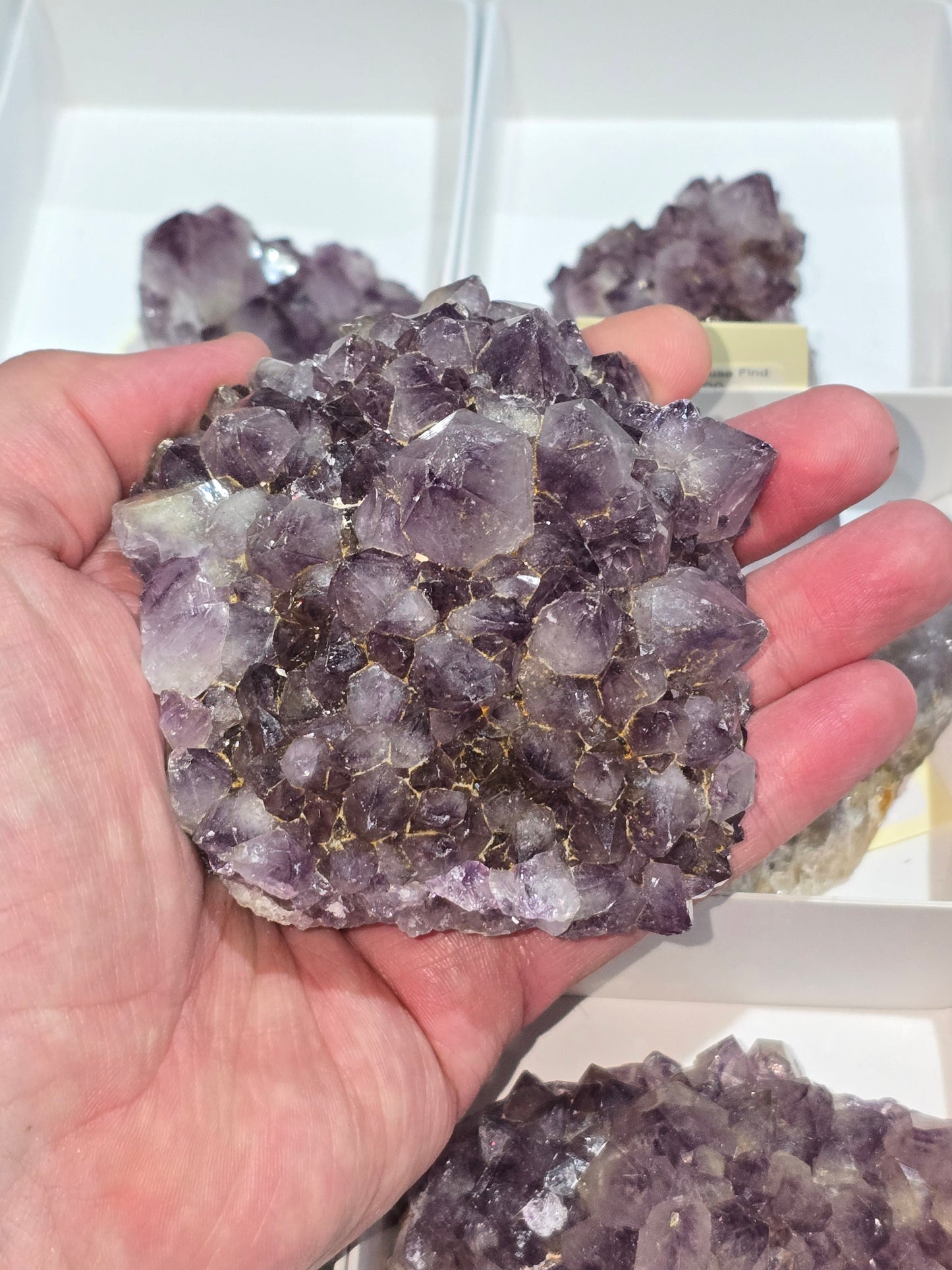 Amethyst Clusters from South Africa – Natural Mineral Specimen