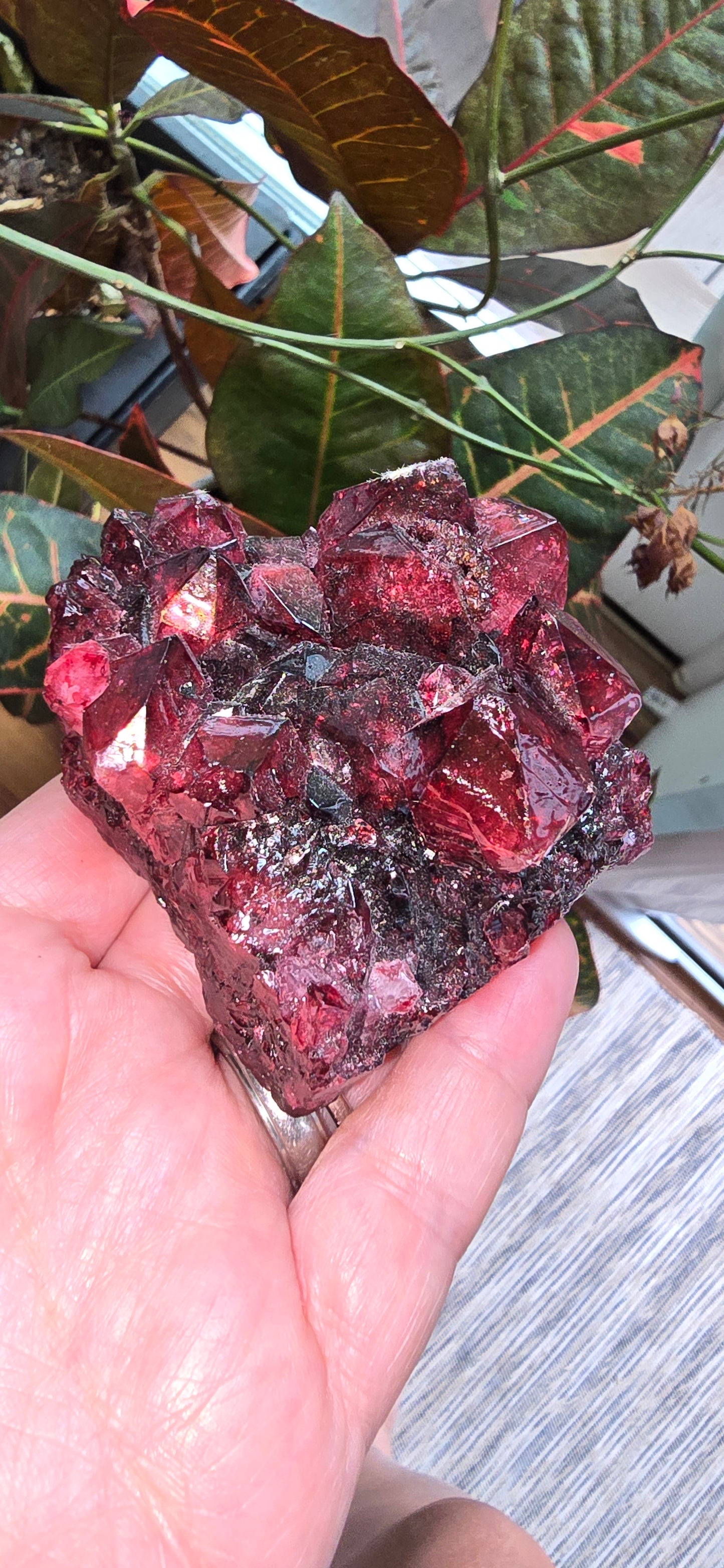 Dyed red Quartz