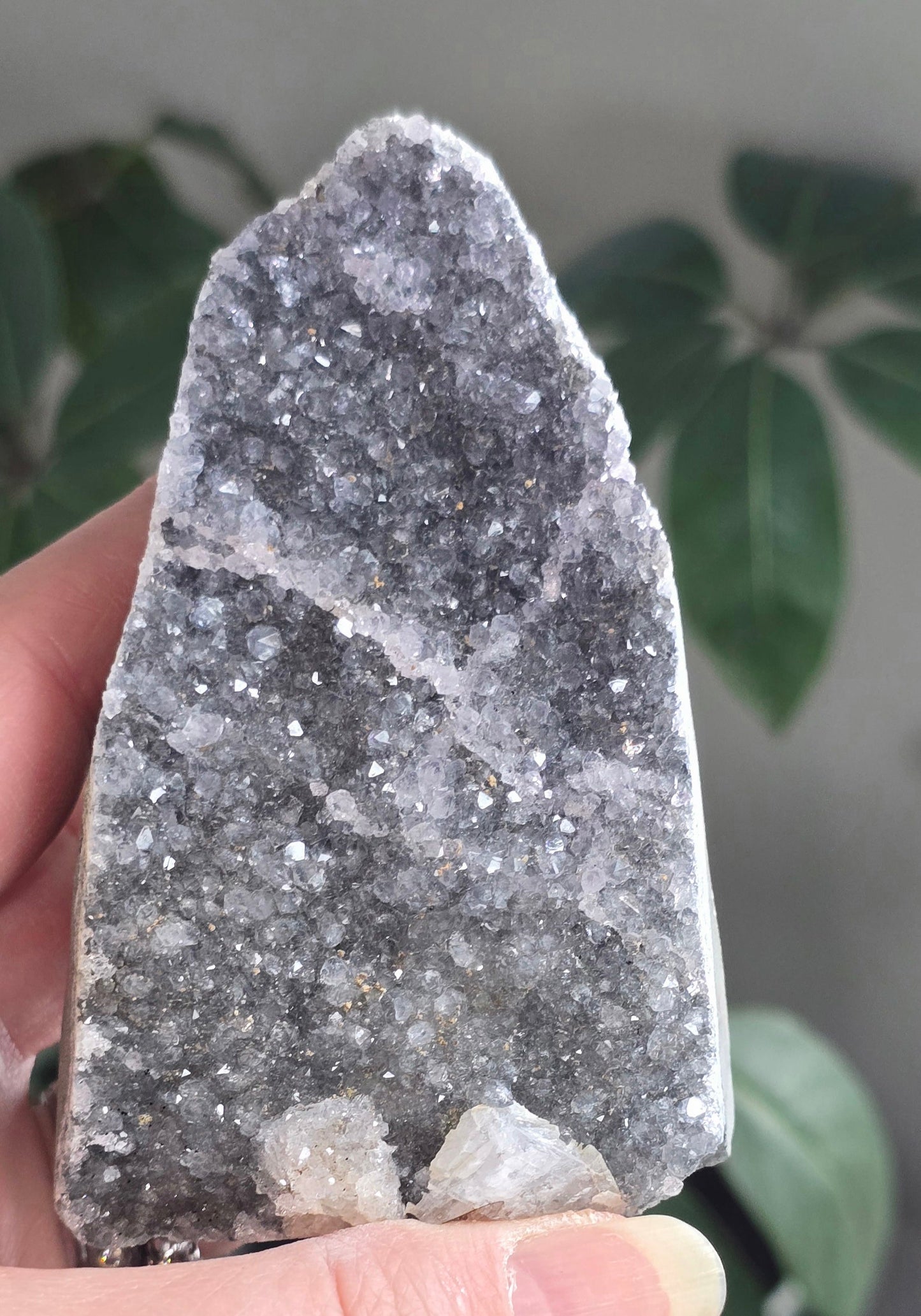 Rainbow Amethyst Cut Bases – Natural Stone from Uruguay