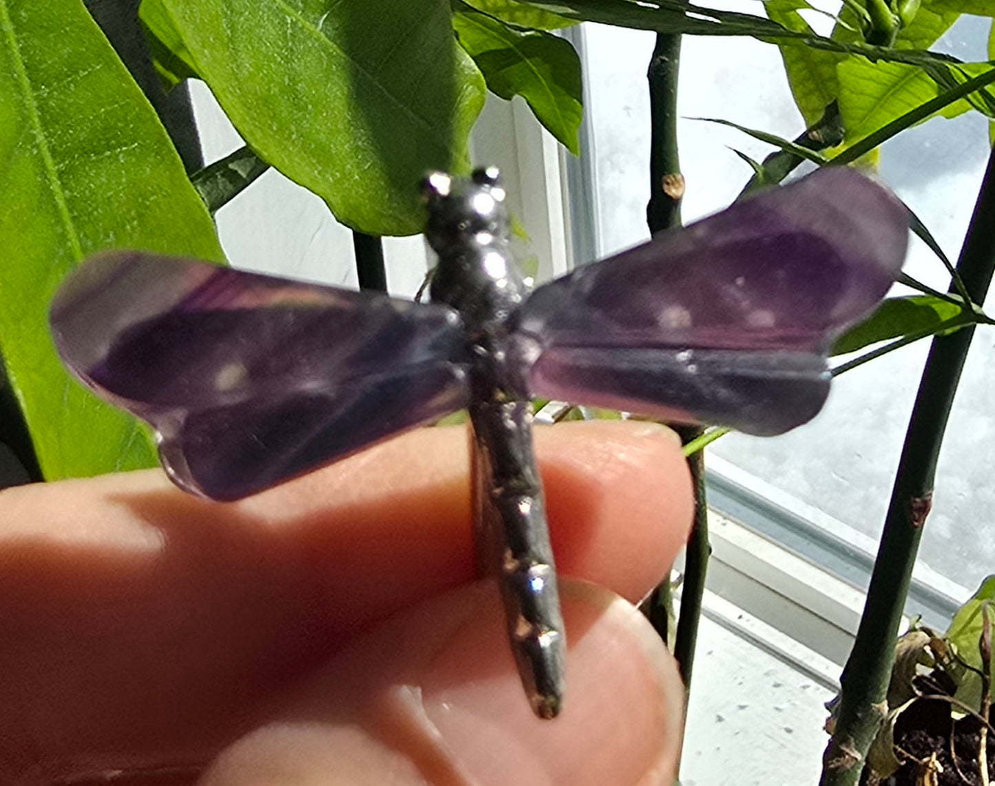 Rainbow Fluorite Dragonfly Wings on Metal Stand specimen - Genuine Nat