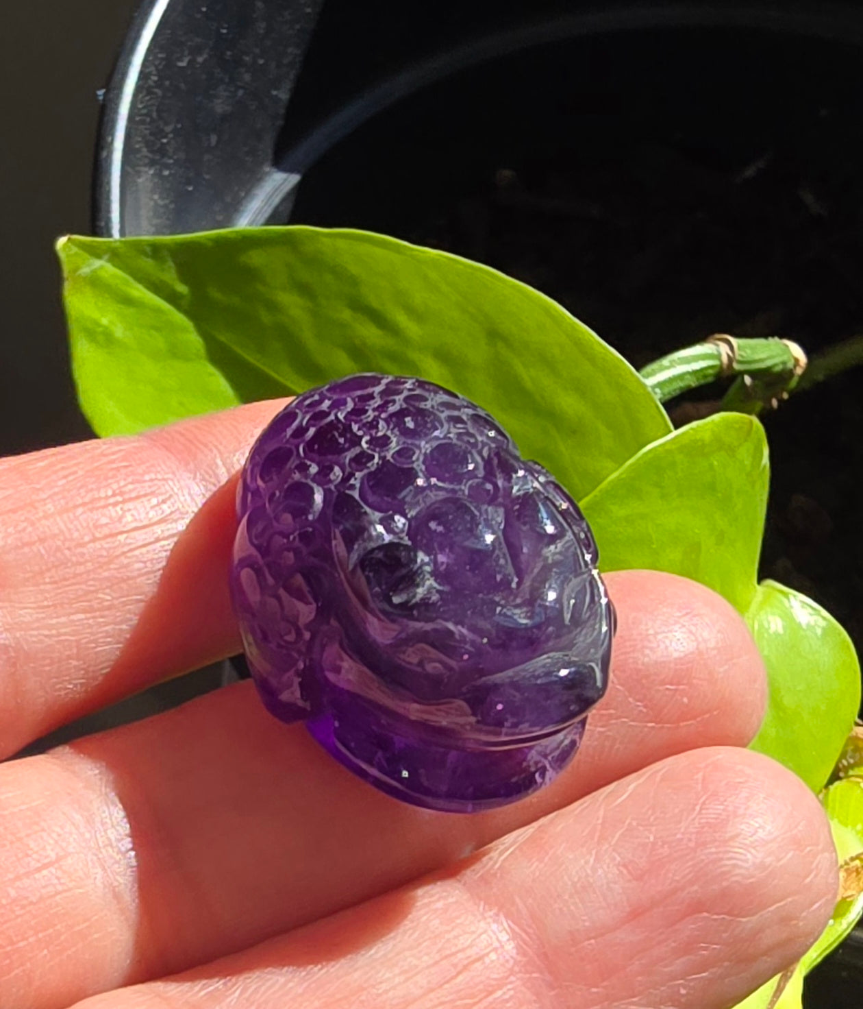 Amethyst Money Toad Carving – Natural Quartz