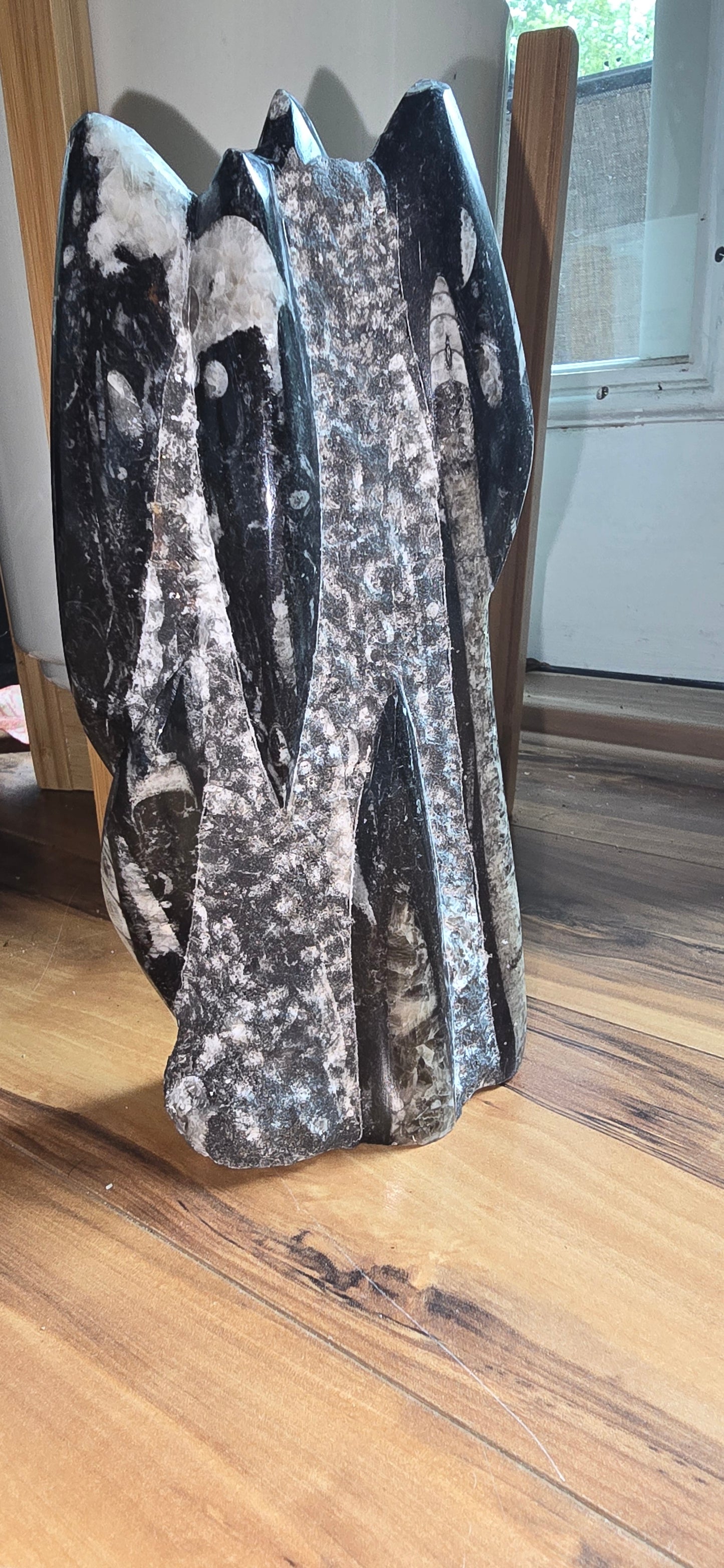 Orthoceras Tower Display