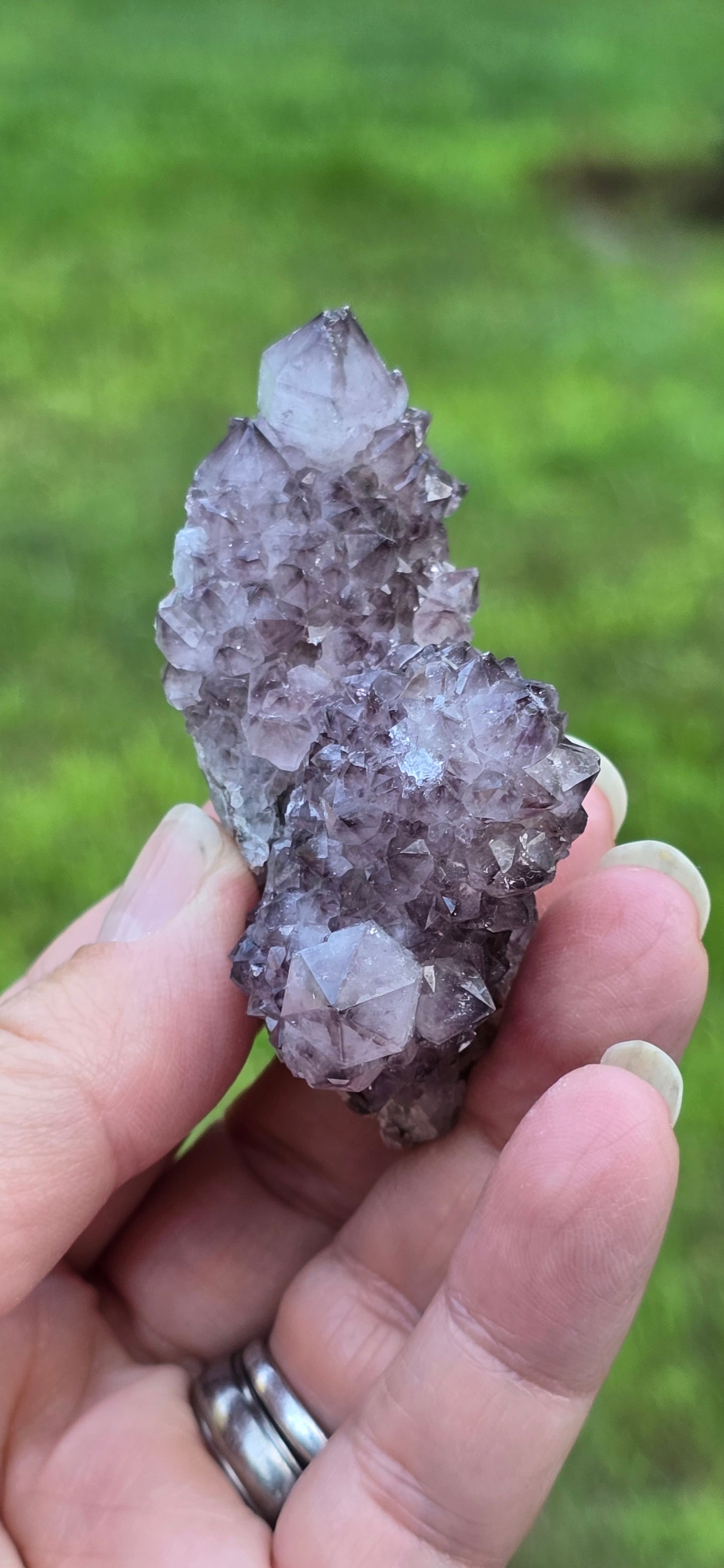 Amethyst Clusters from South Africa – Natural Mineral Specimen