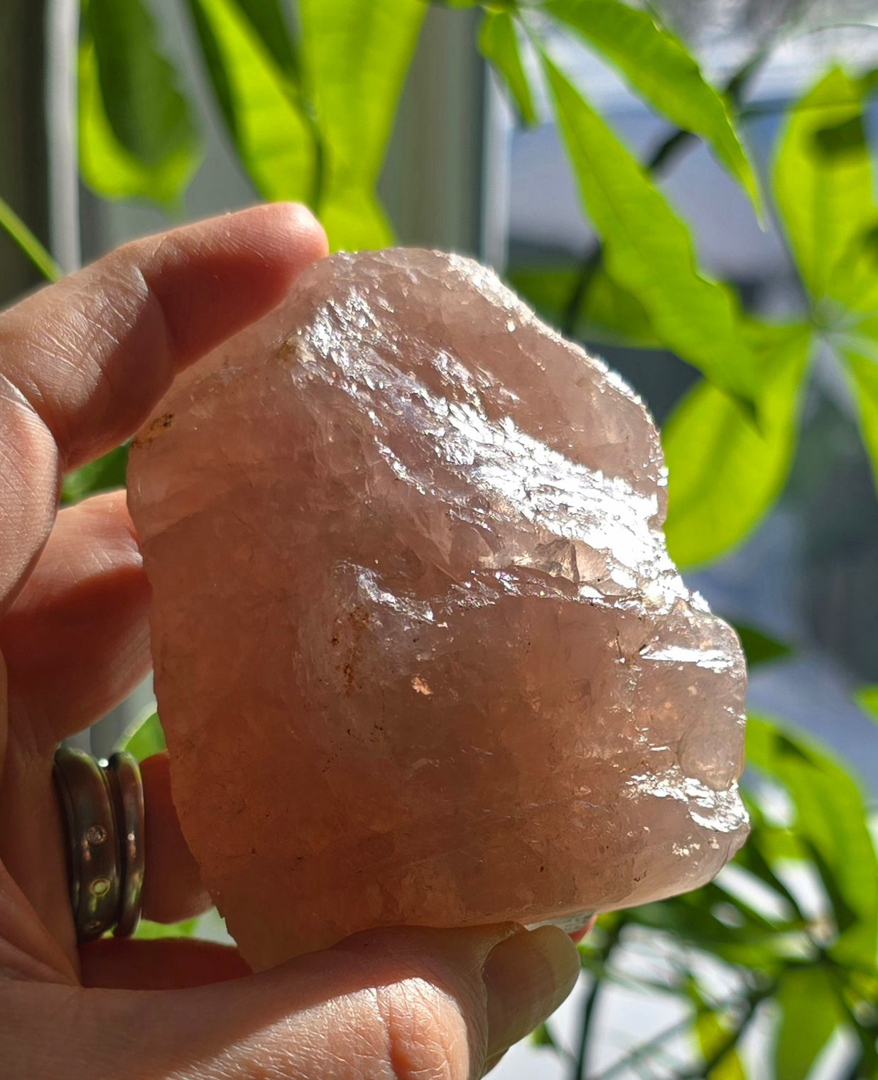 Rose Quartz Half Polished Cut Base – Natural Quartz