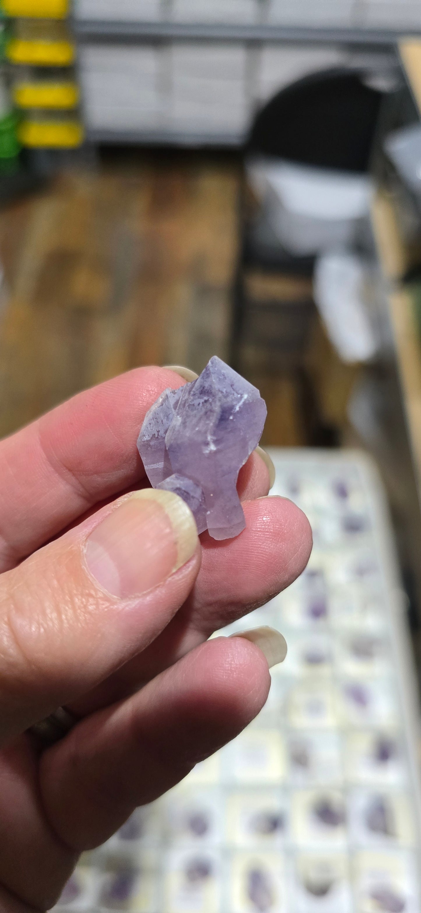 Amethyst Phantom in Quartz -20
