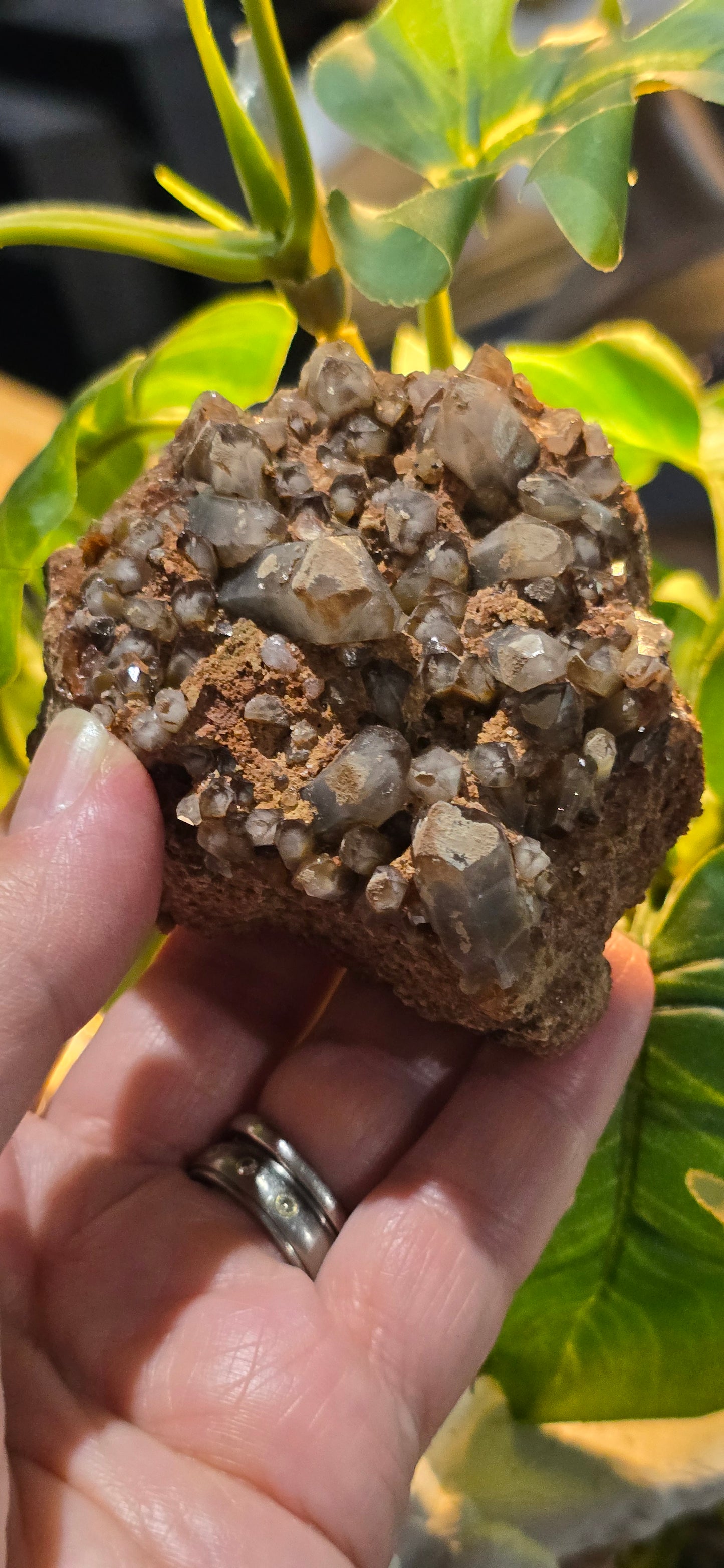 Orange River White Phantom Quartz – Orange River, South Africa Natural Mineral Specimen