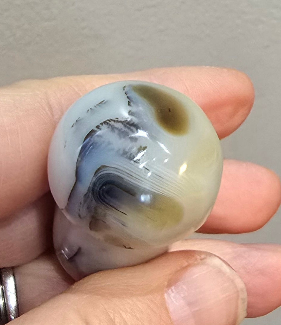 Agate Mushroom Carvings – Polished Natural Agate