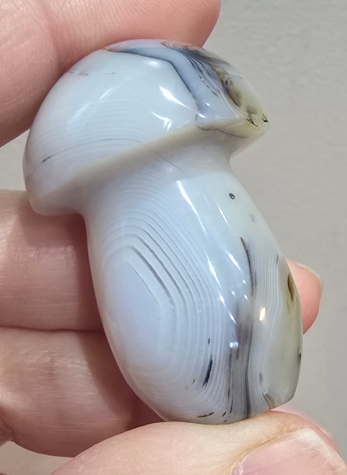 Agate Mushroom Carvings – Polished Natural Agate