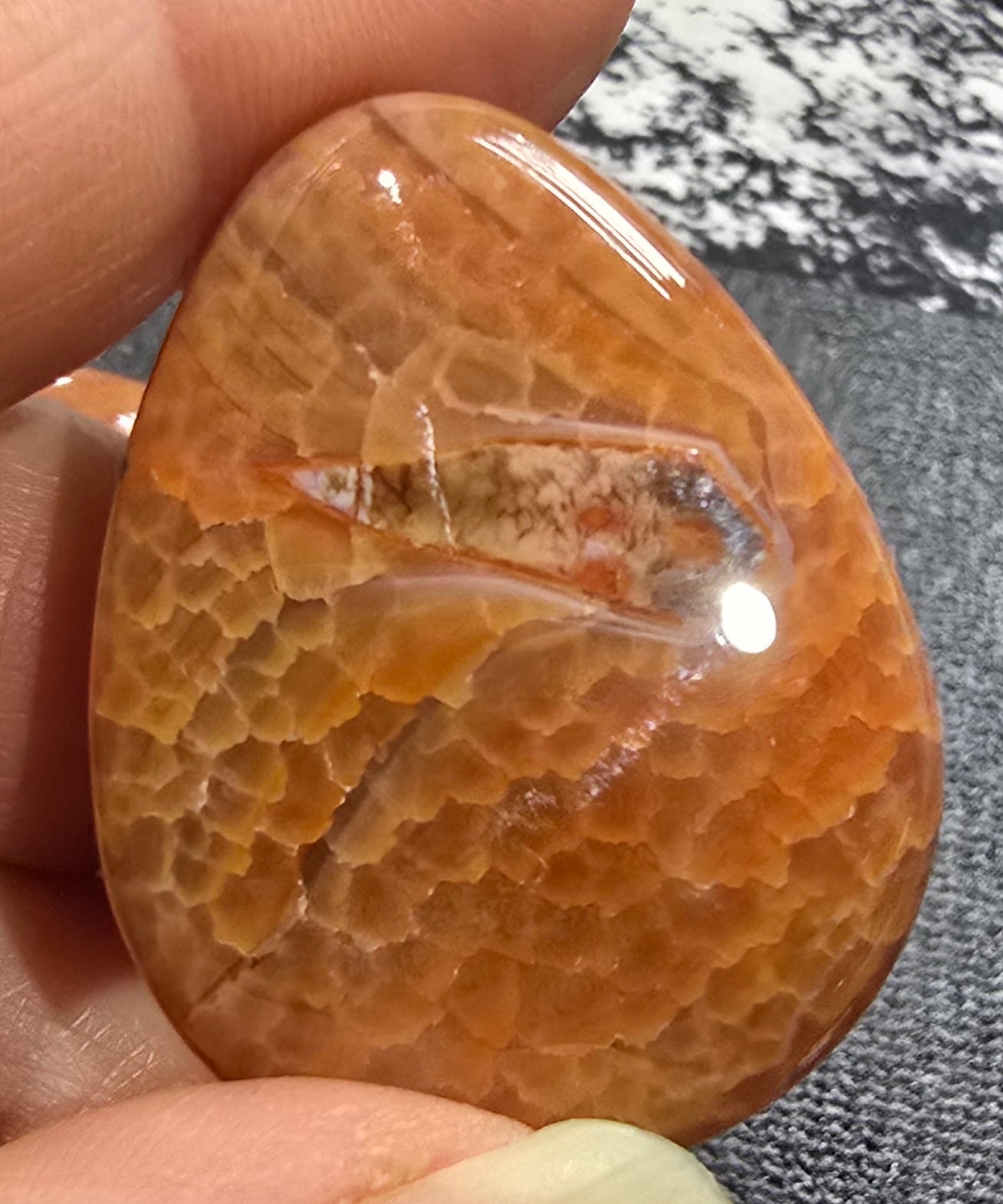 Snakeskin Agate Palm Stones 20.18 grams