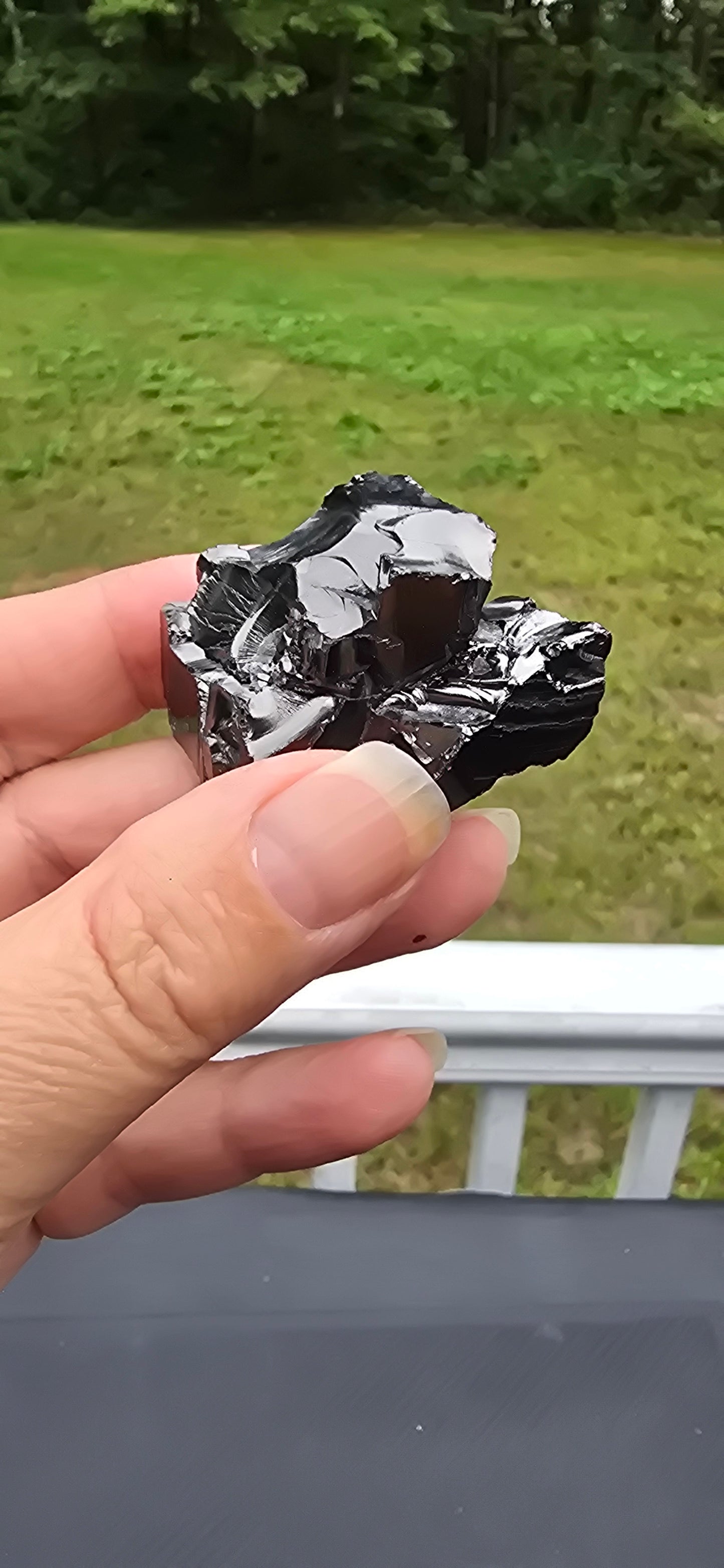 Elite Shungite