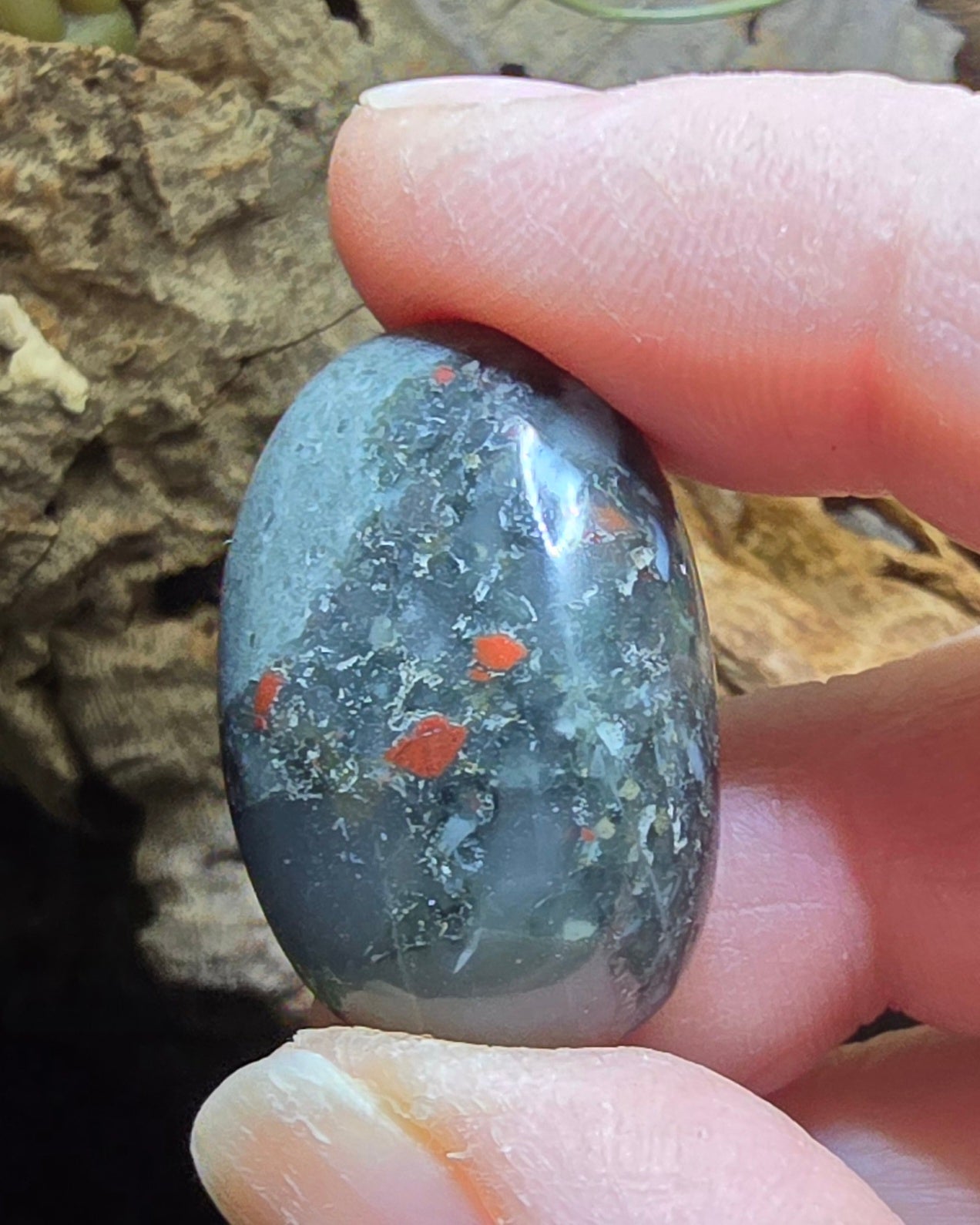 rn-image_picker_lib_temp_8028c73c-e4eb-4d61-84c4-3e60312f16b8