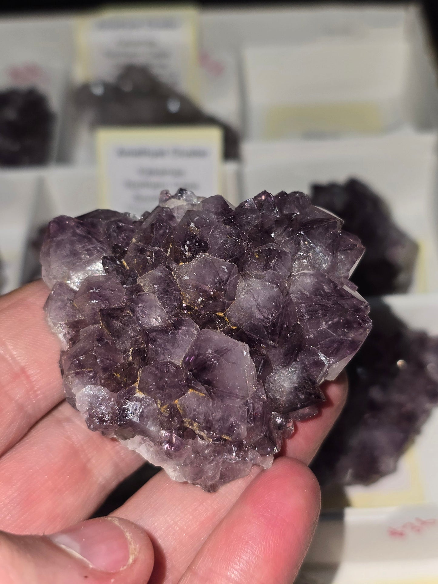Amethyst Clusters from South Africa – Natural Mineral Specimen