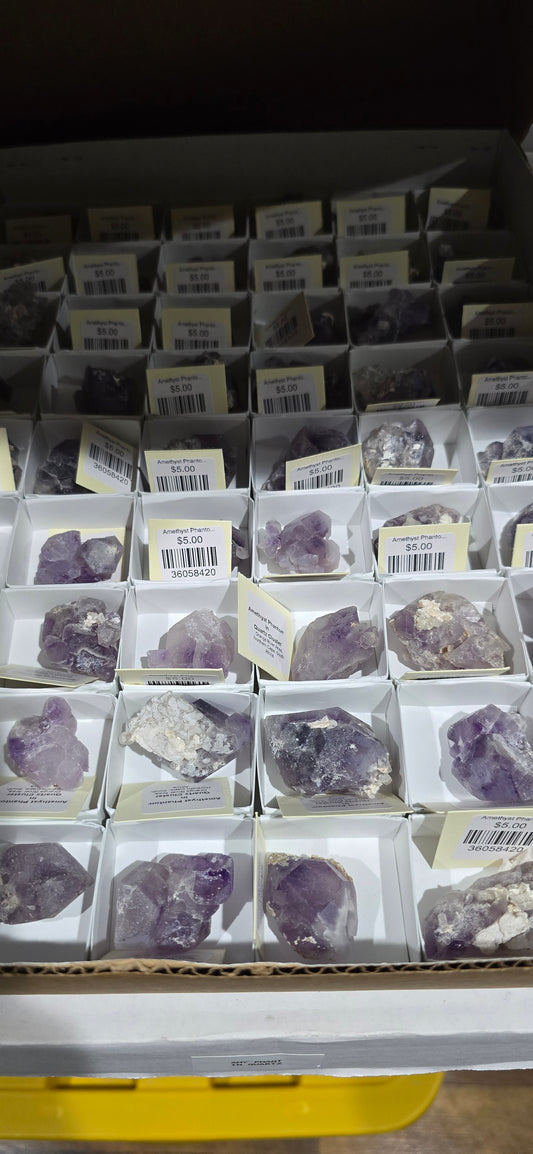 Amethyst Phantom in Quartz +20