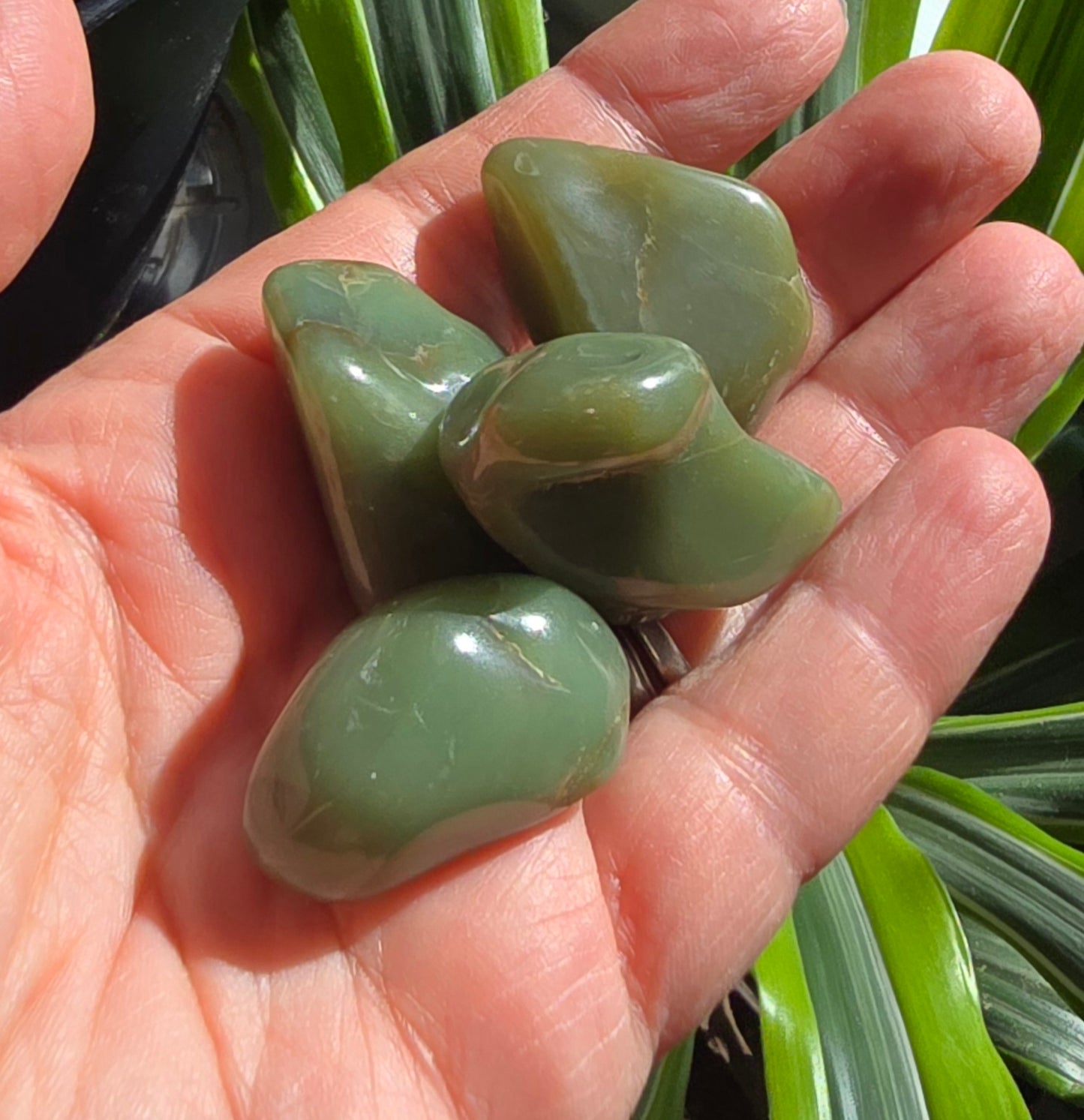 Genuine Green Chert Tumbles - Natural Polished Crystals